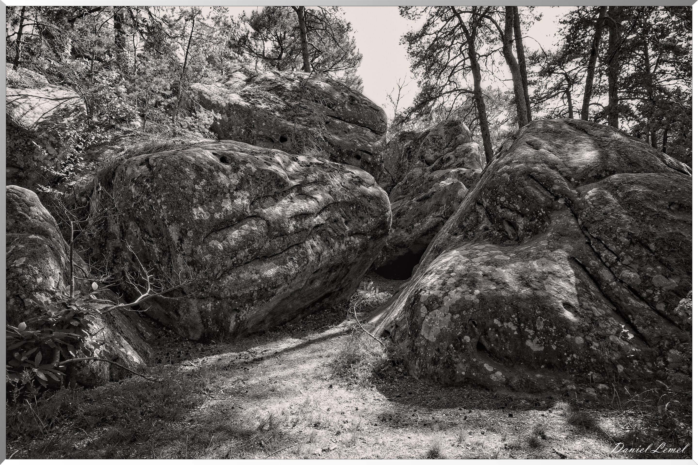 Forêt de Fontainebleau