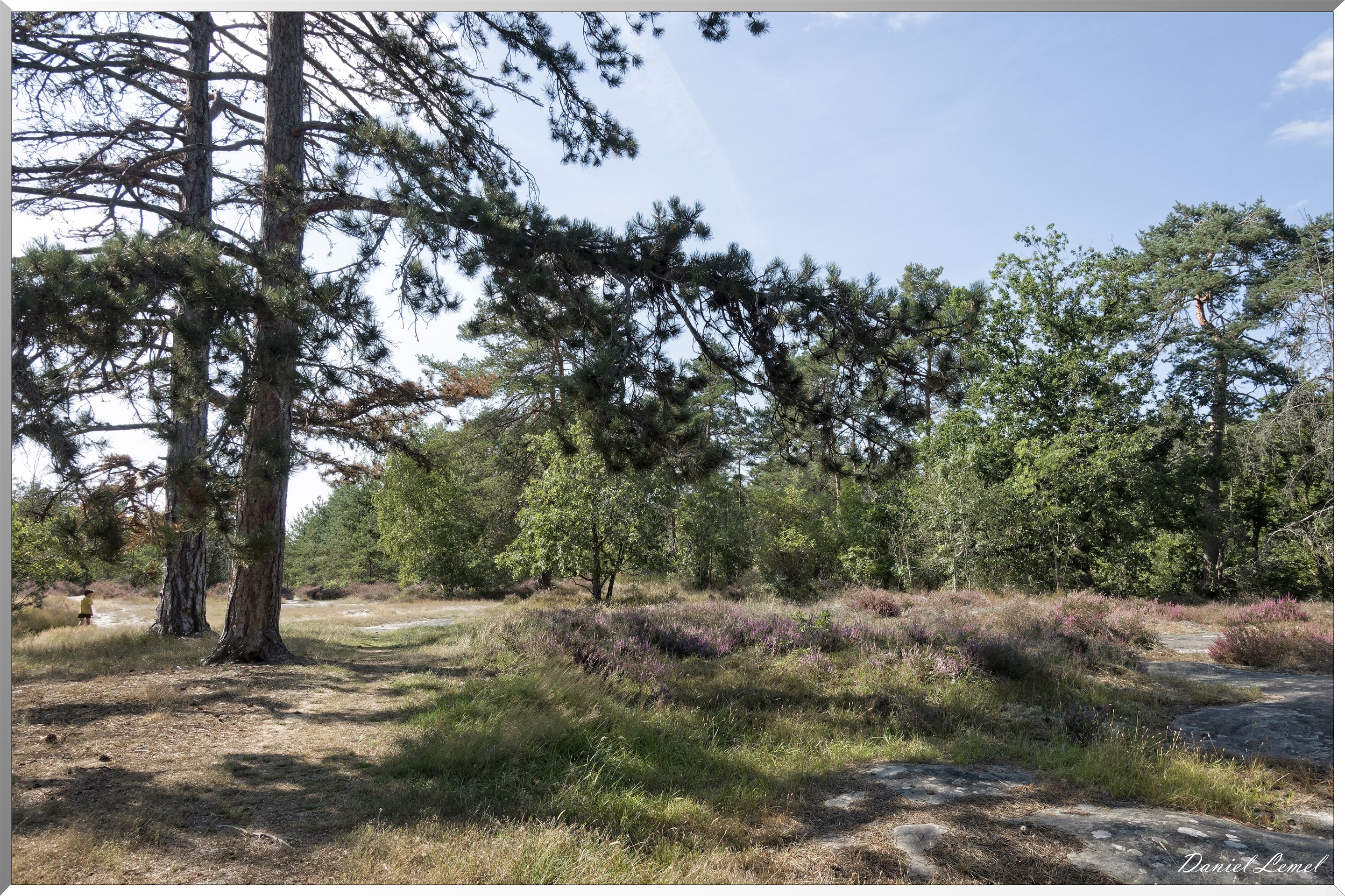 Forêt de Fontainebleau