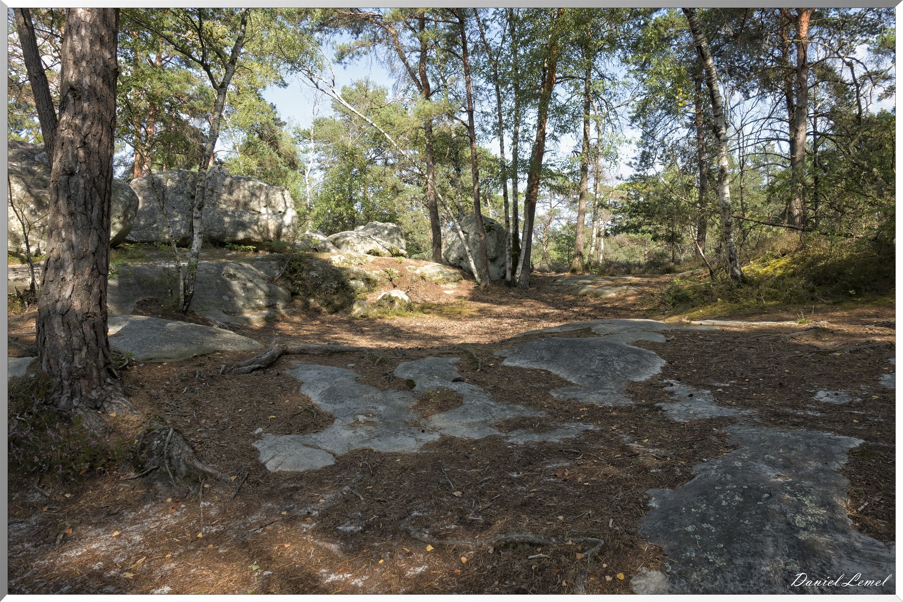Forêt de Fontainebleau