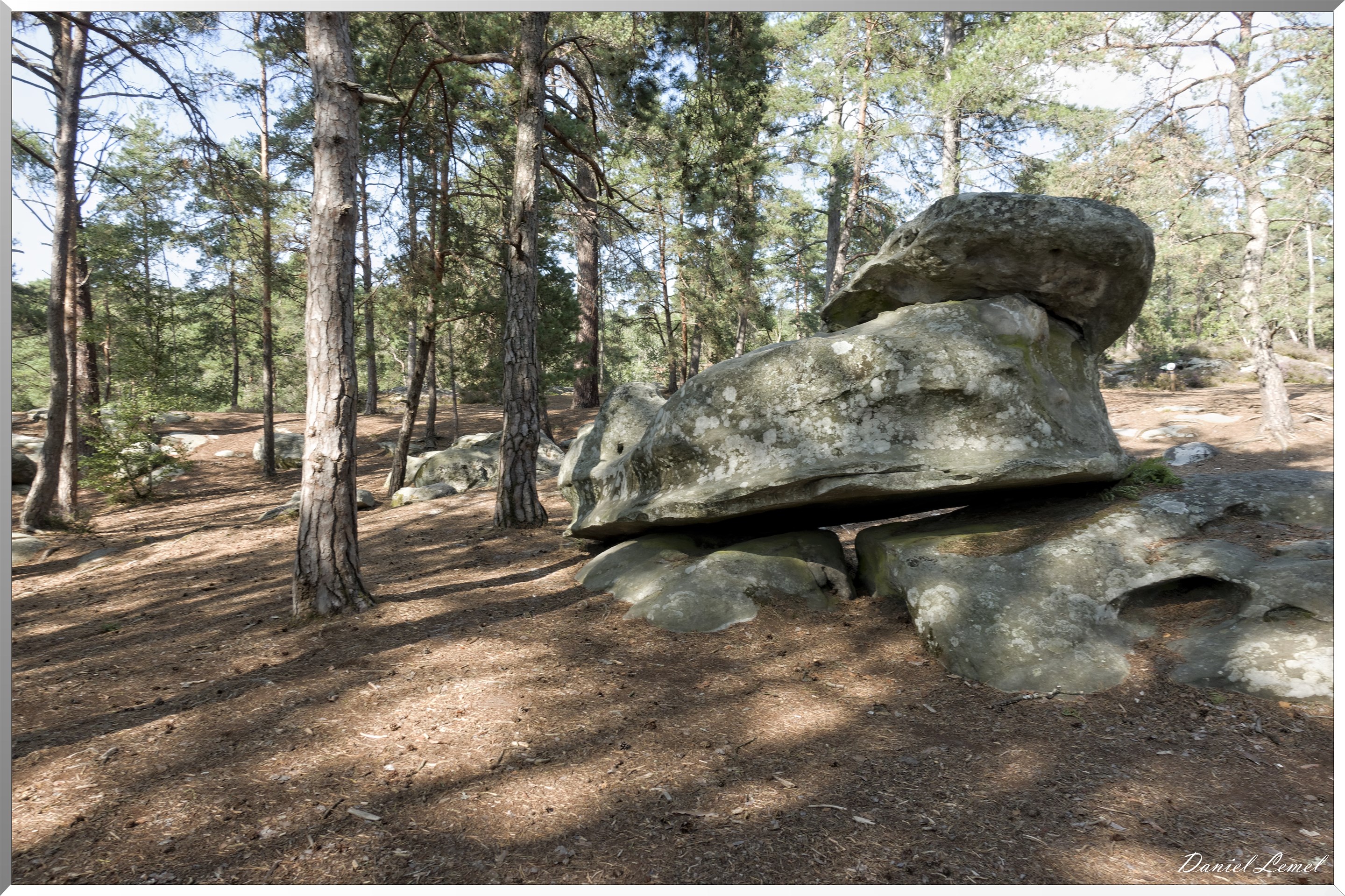 Forêt de Fontainebleau