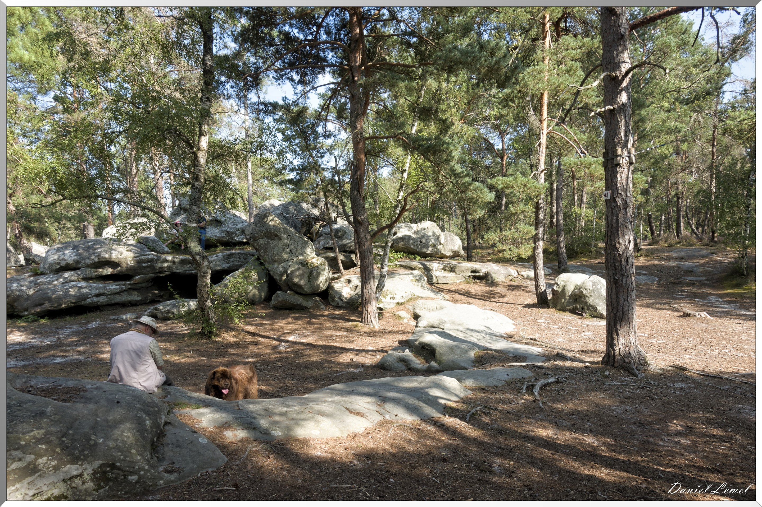 Forêt de Fontainebleau
