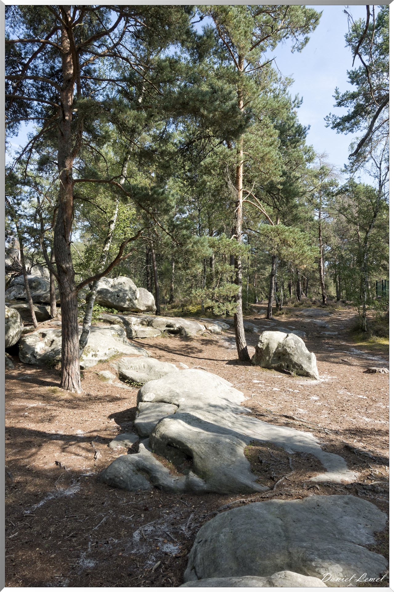 Forêt de Fontainebleau