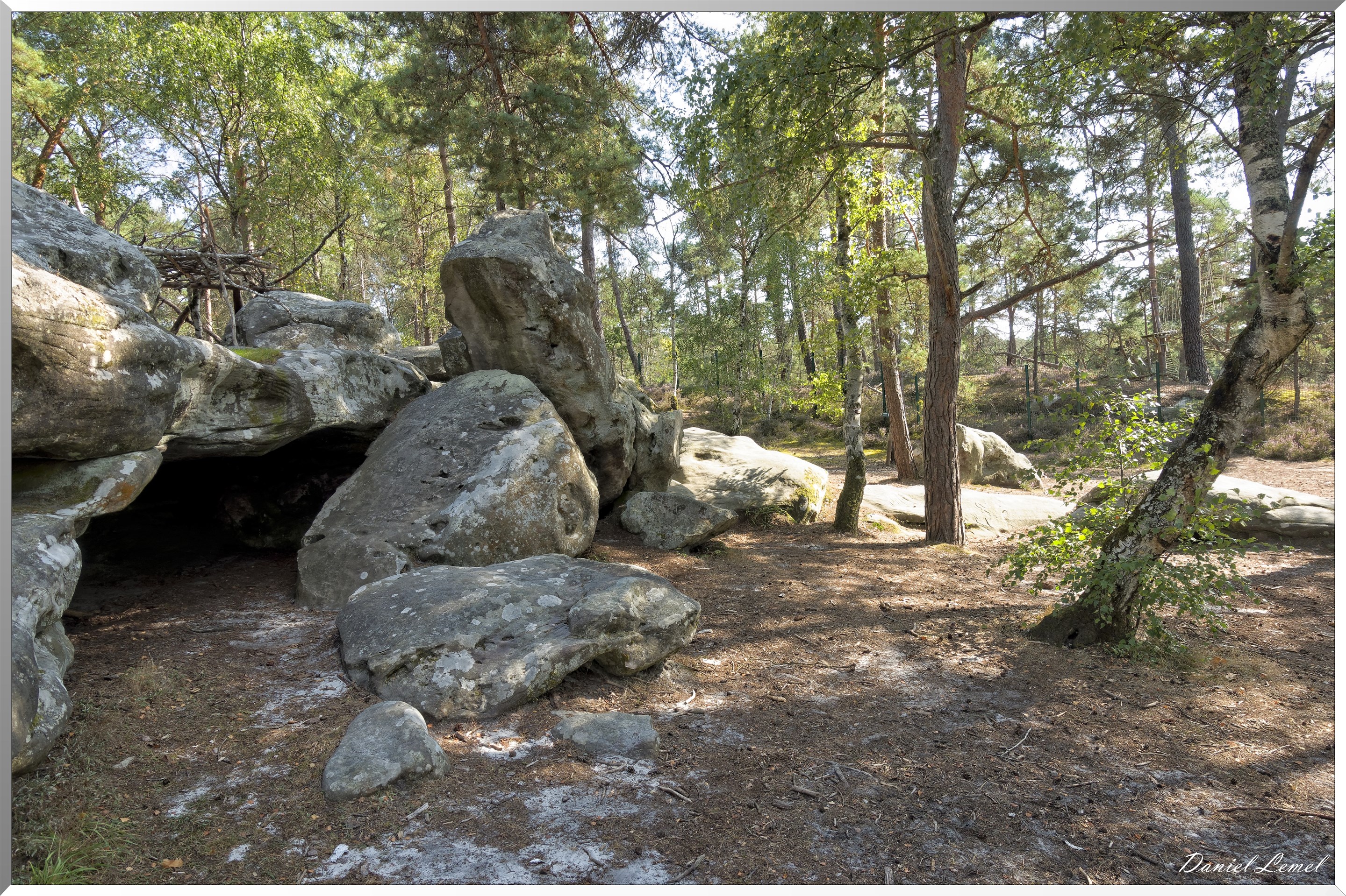 Forêt de Fontainebleau