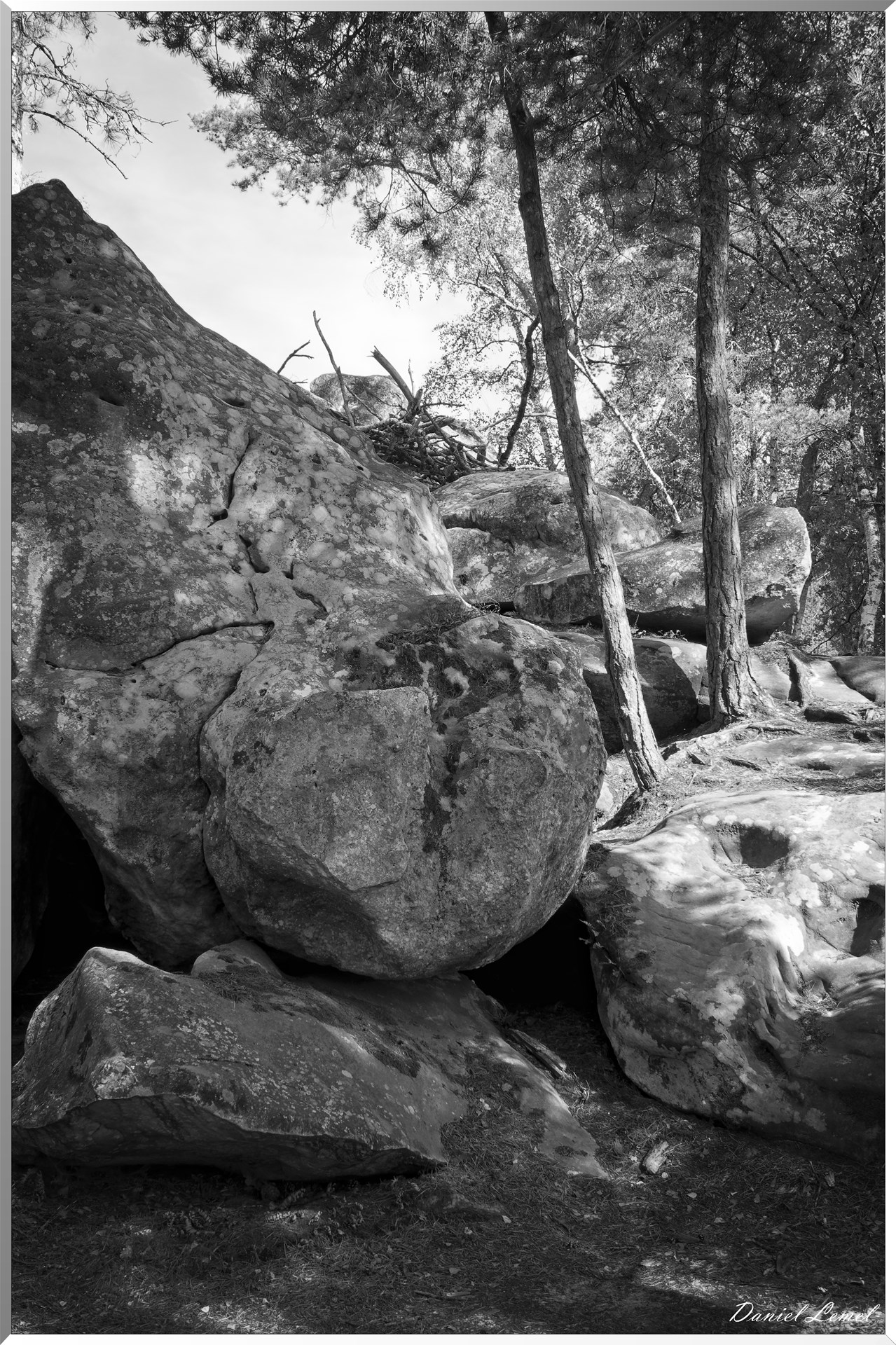 Forêt de Fontainebleau