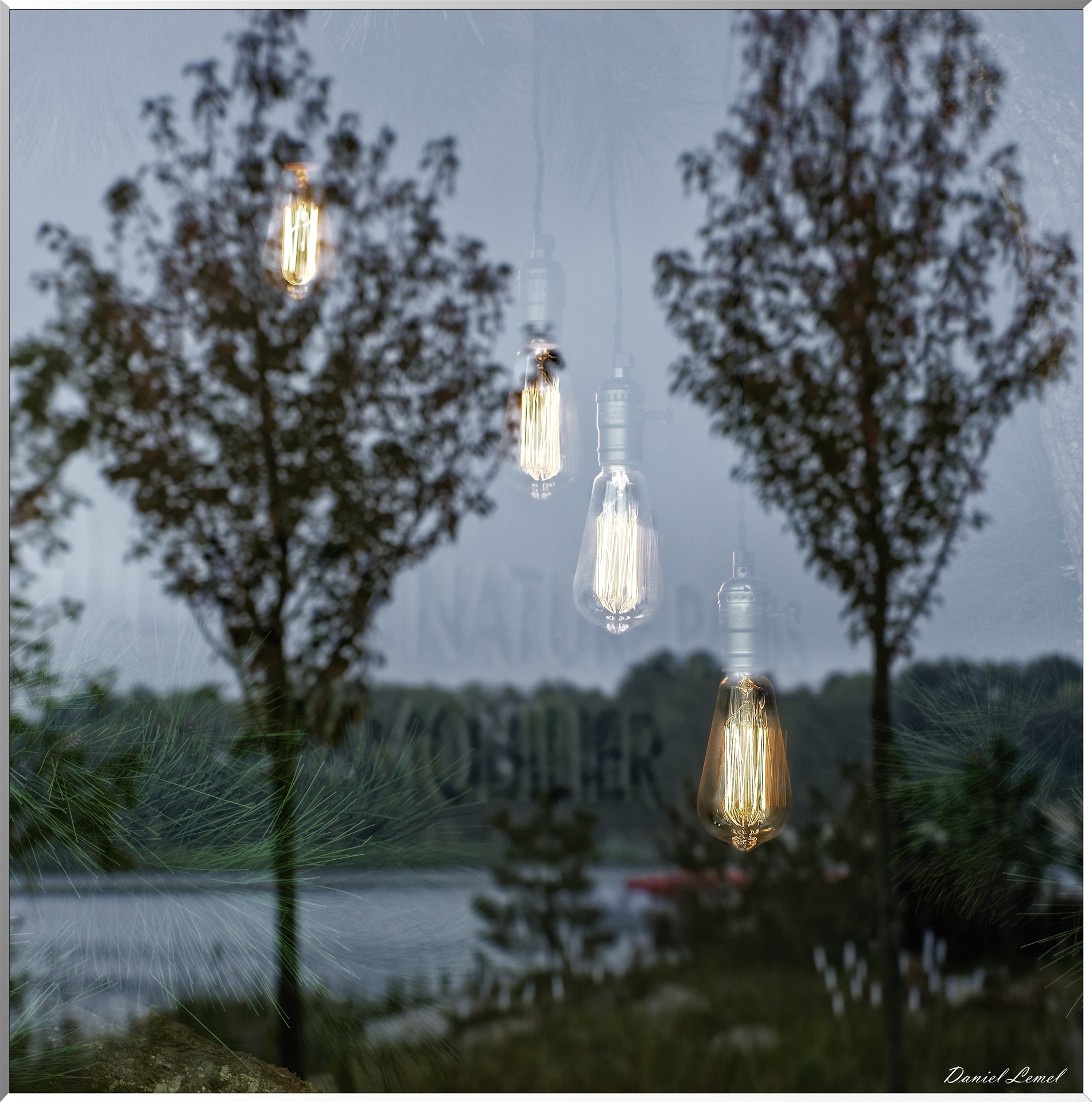 Ampoules LED en reflet