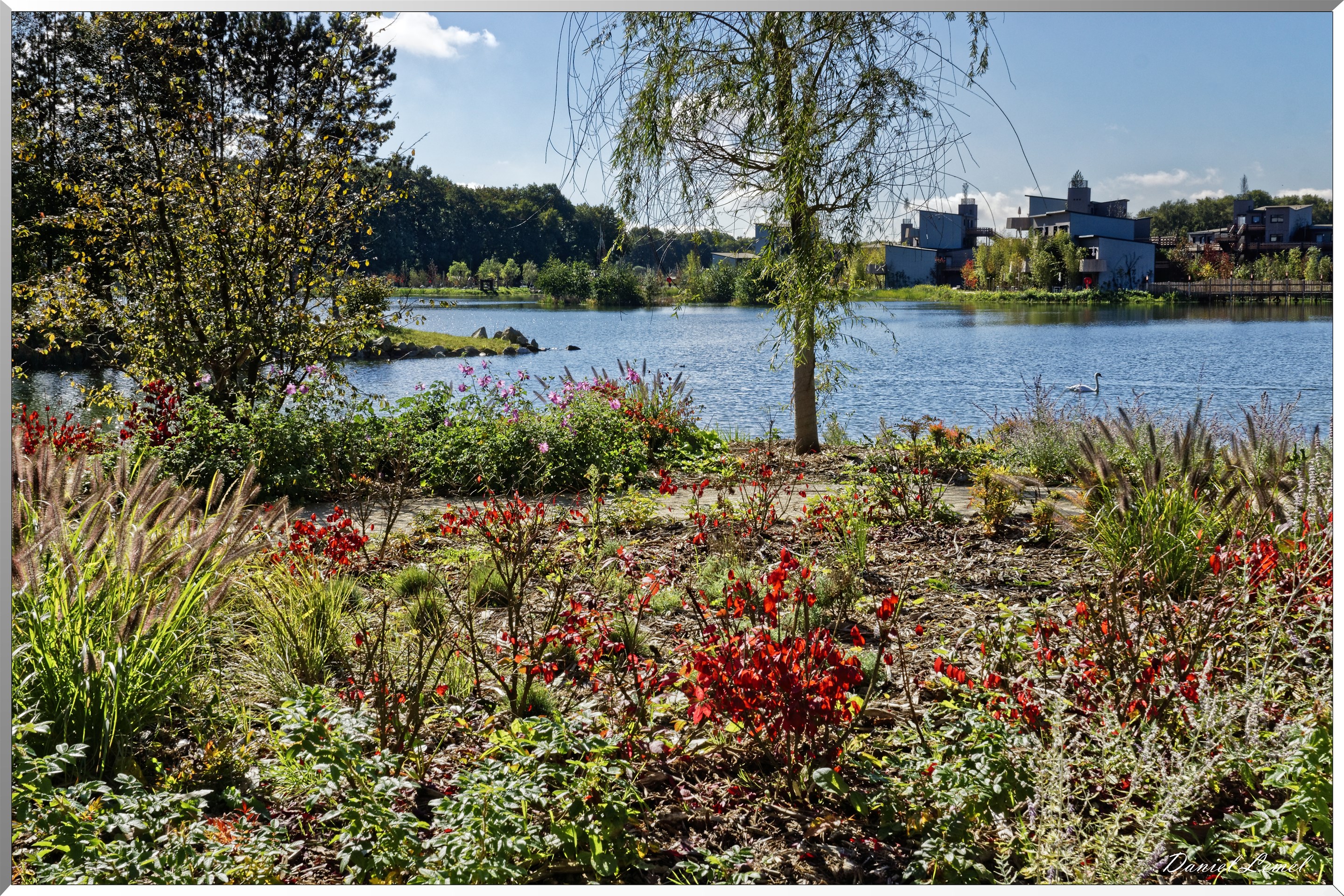  DSC0091 DxOW
