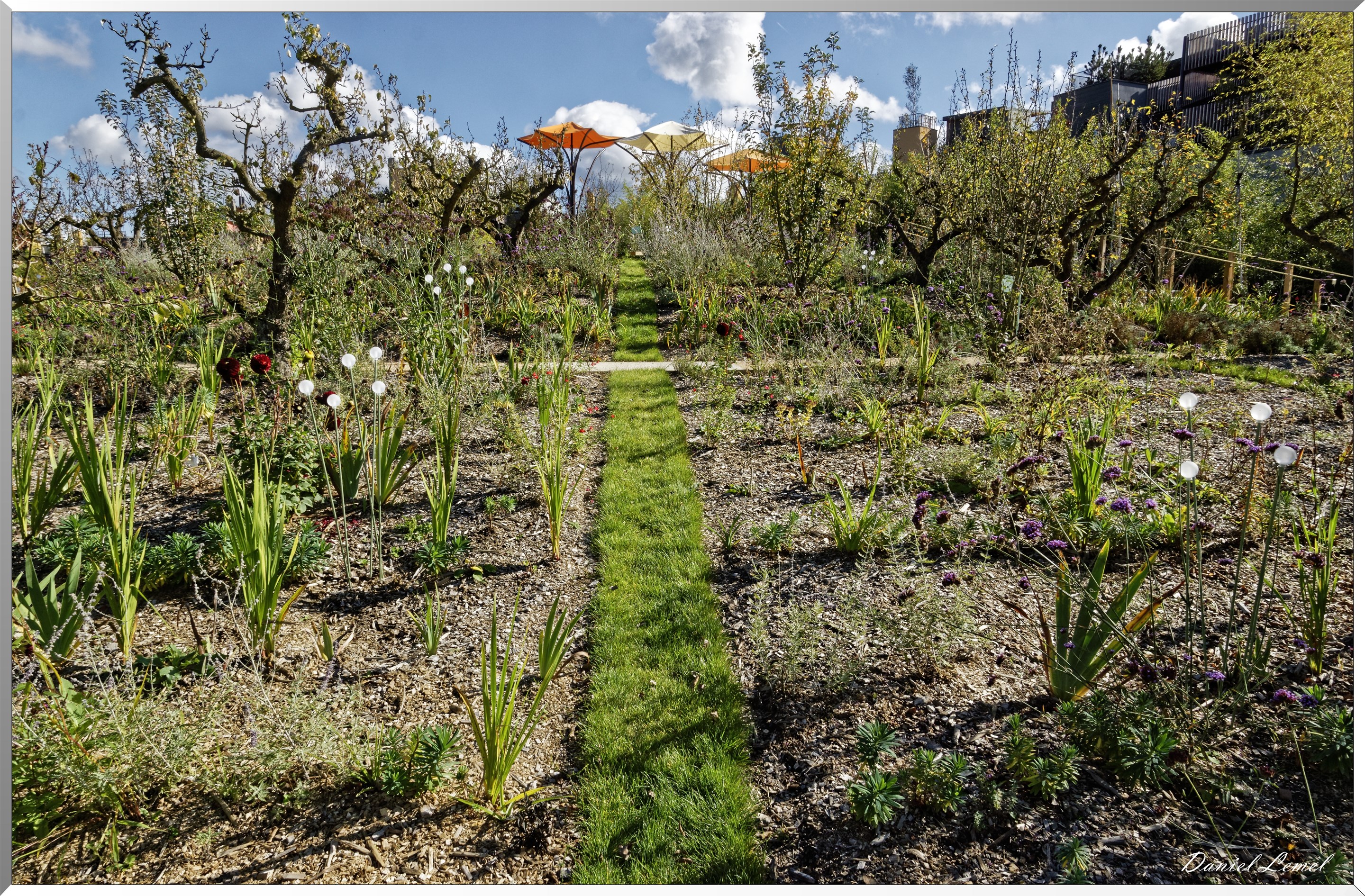 les jardins extraordinaires - Potager