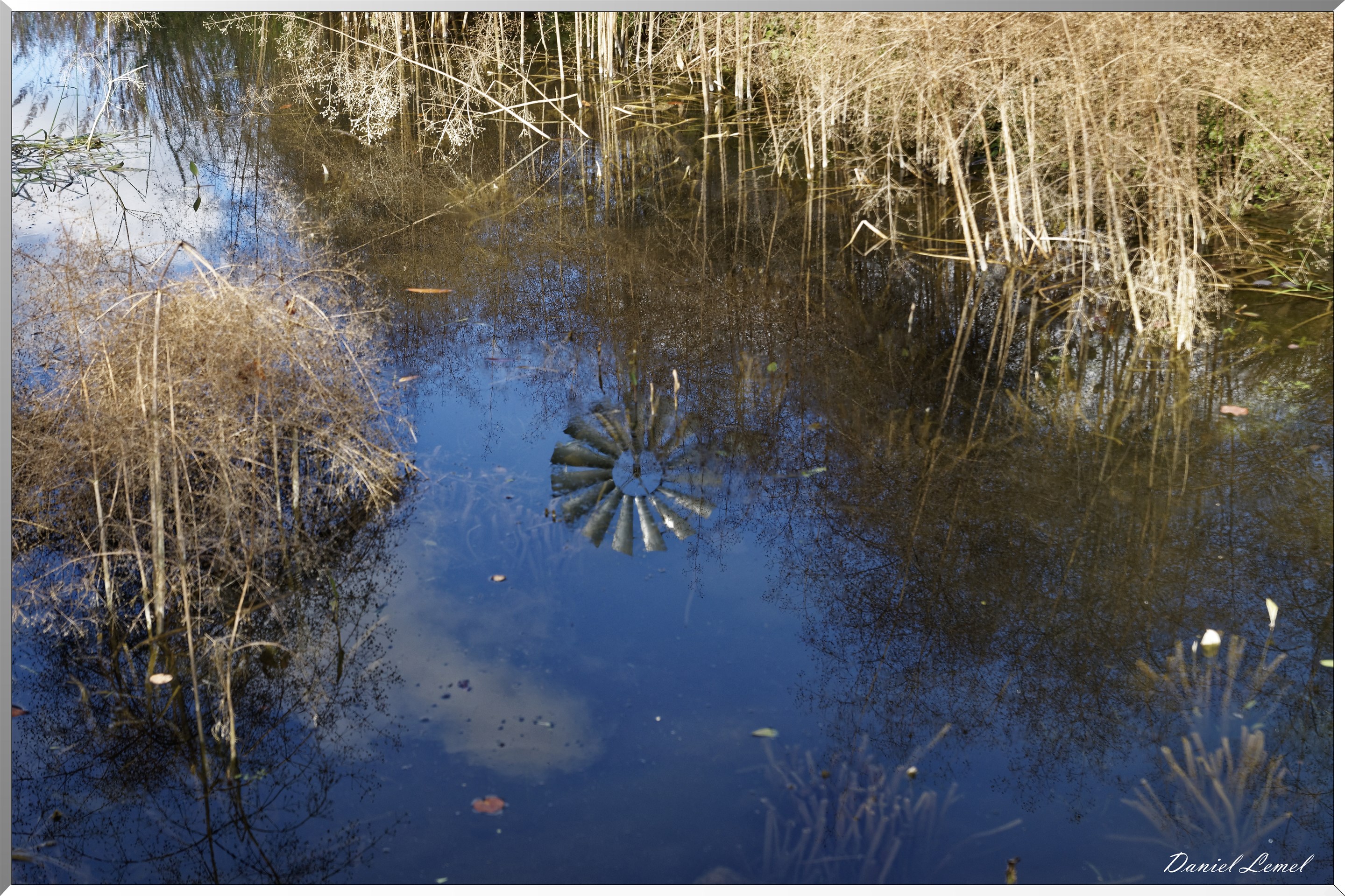les jardins extraordinaires - reflet éolienne