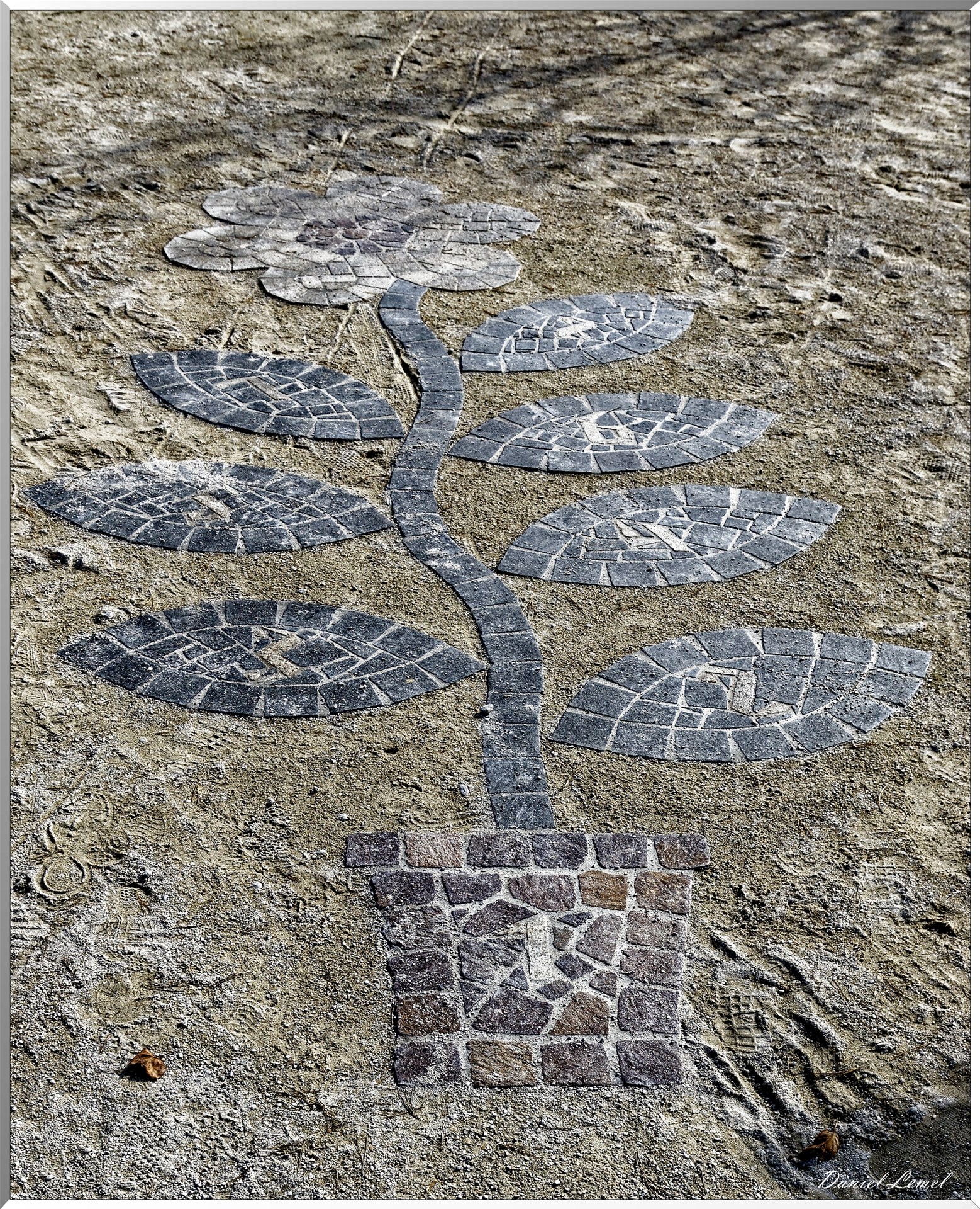 Arbre motif