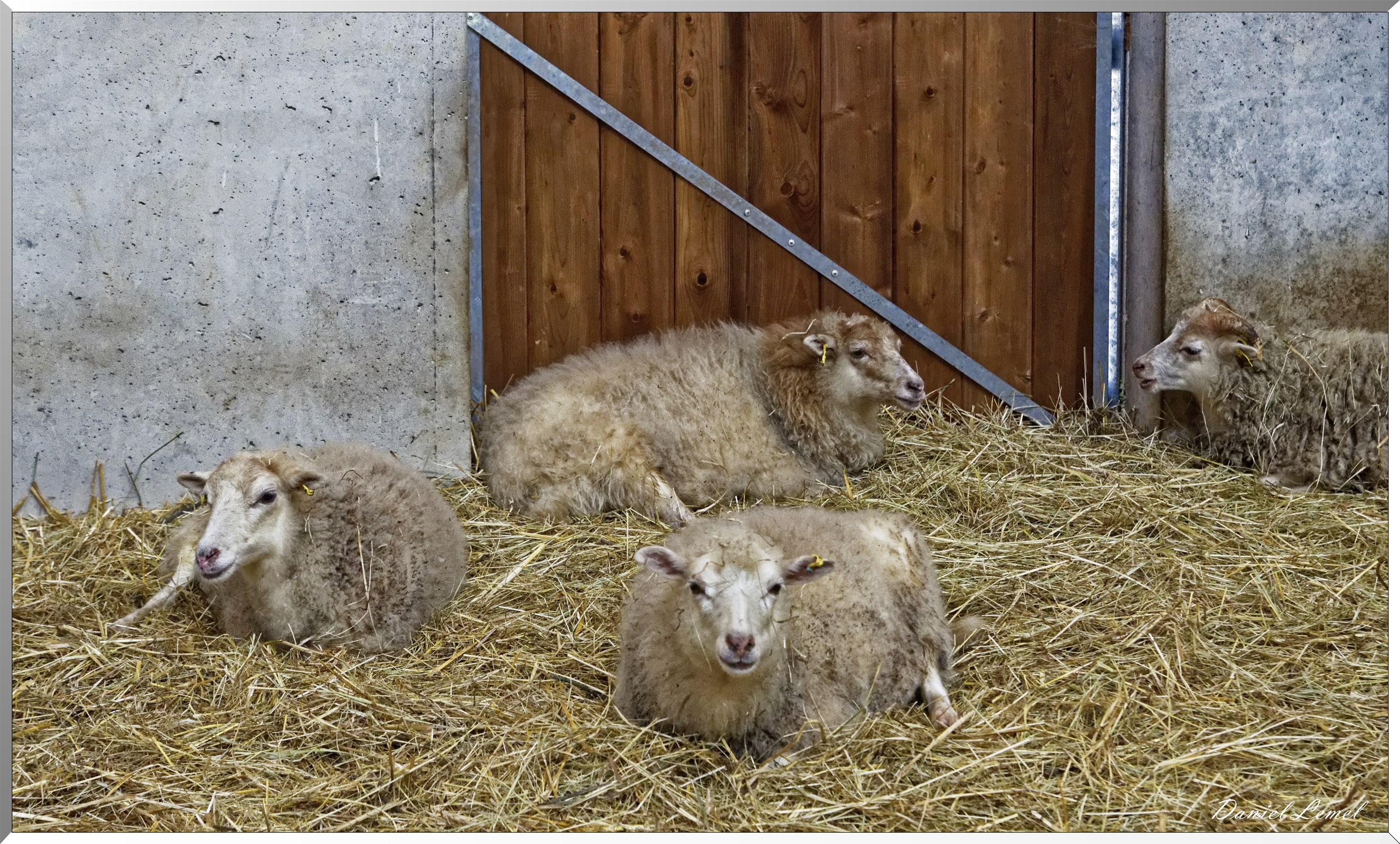 Ferme Bellevie