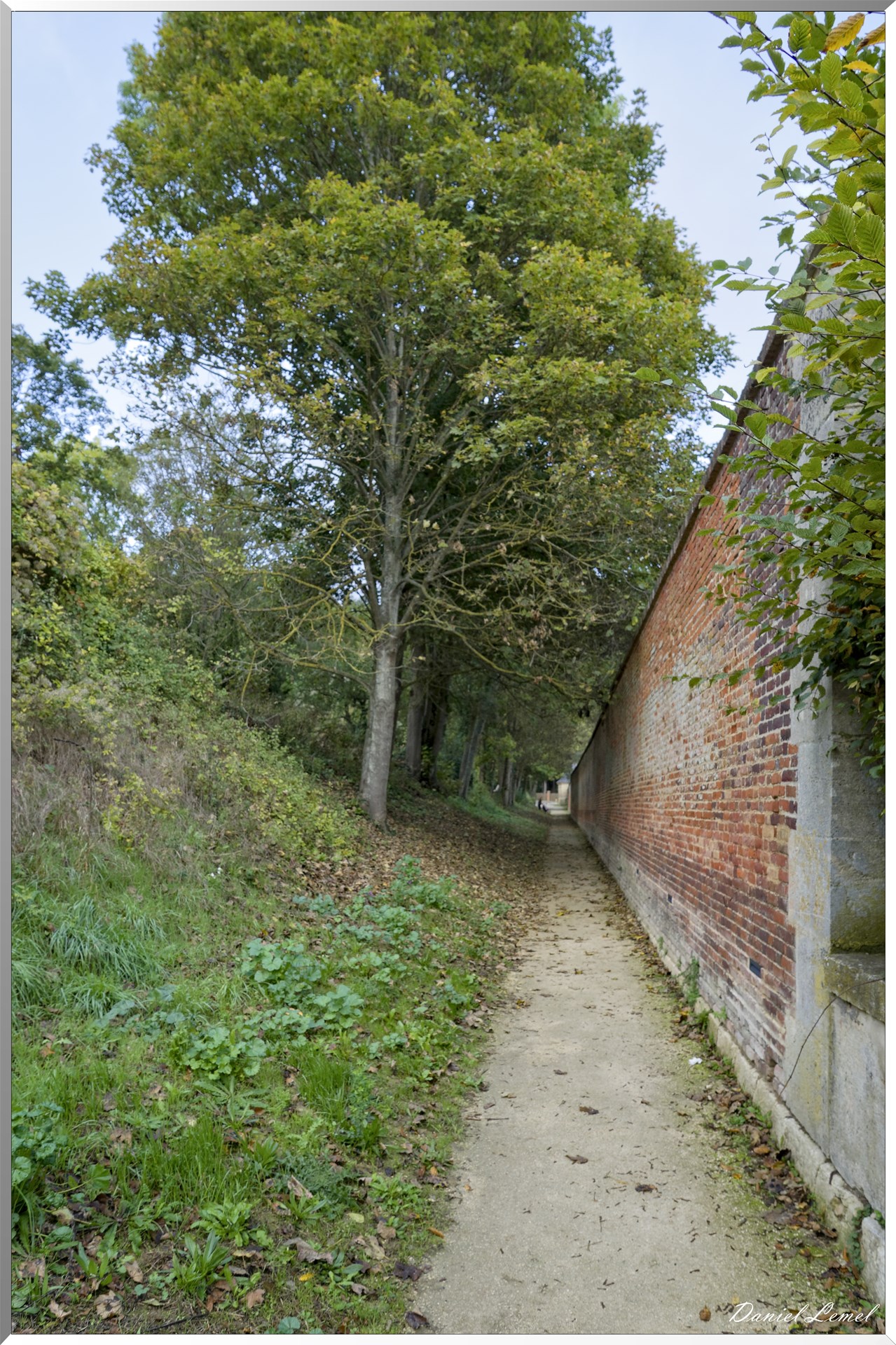 Allée