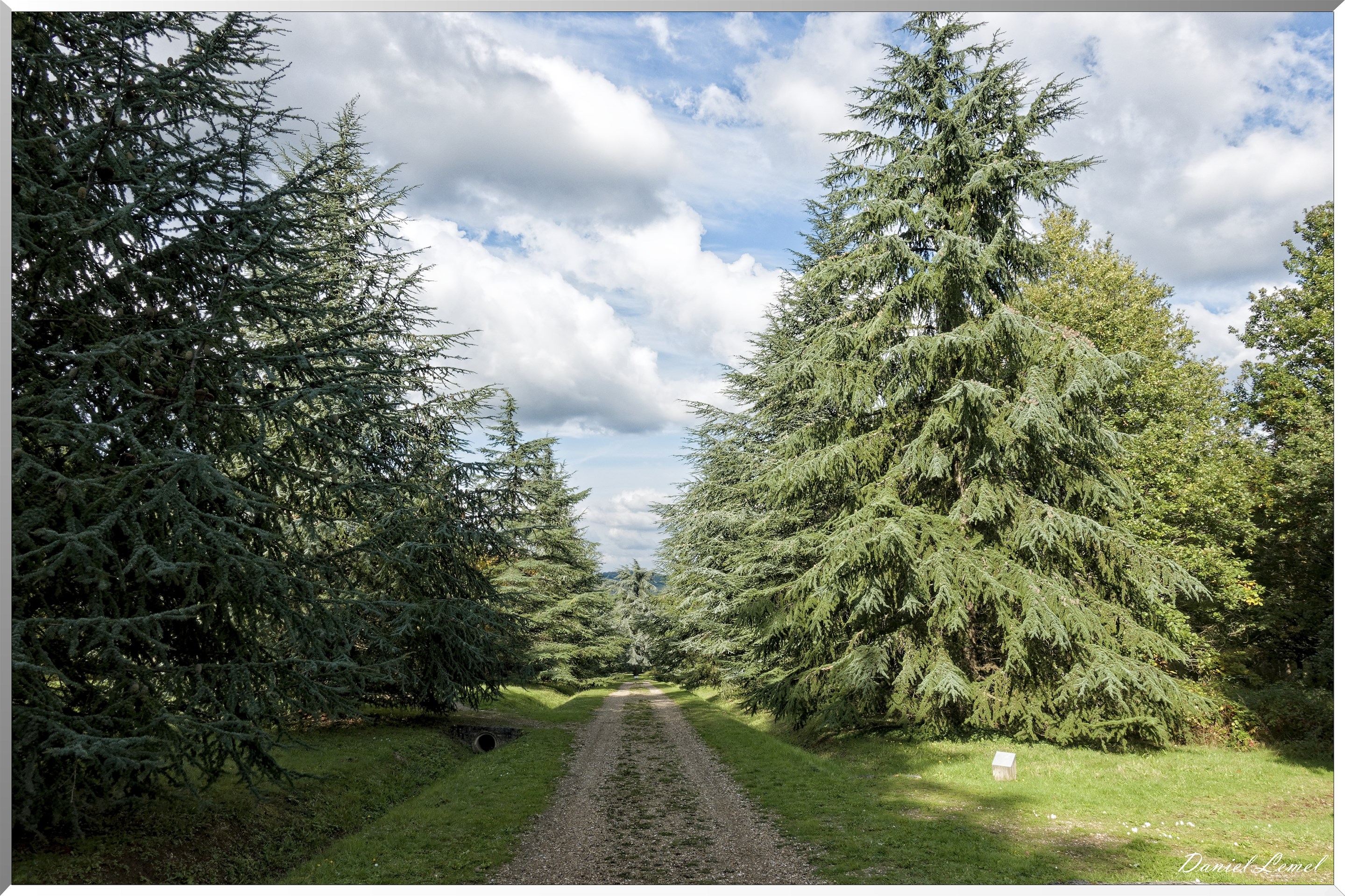 Arborétum