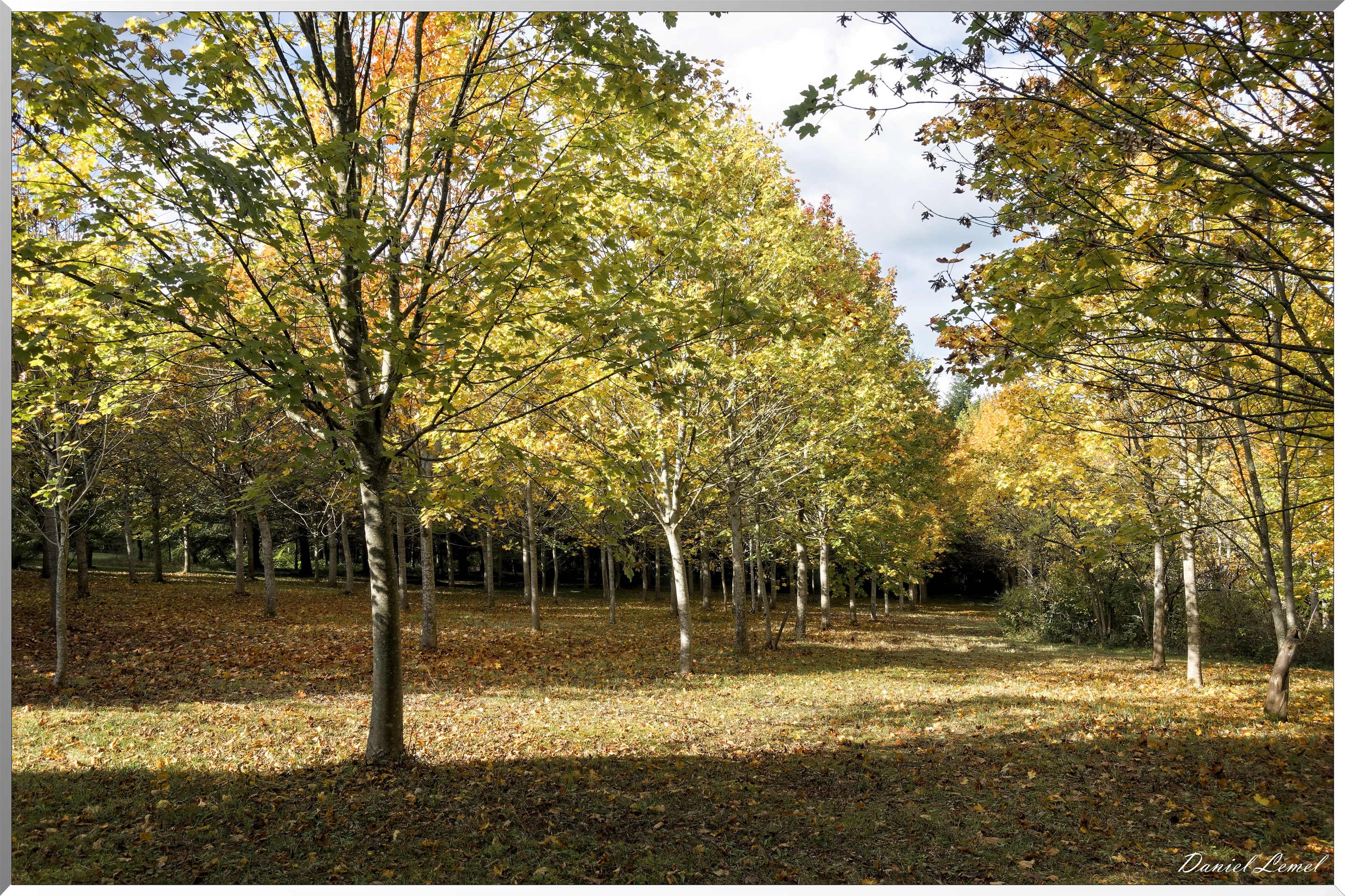 Arborétum