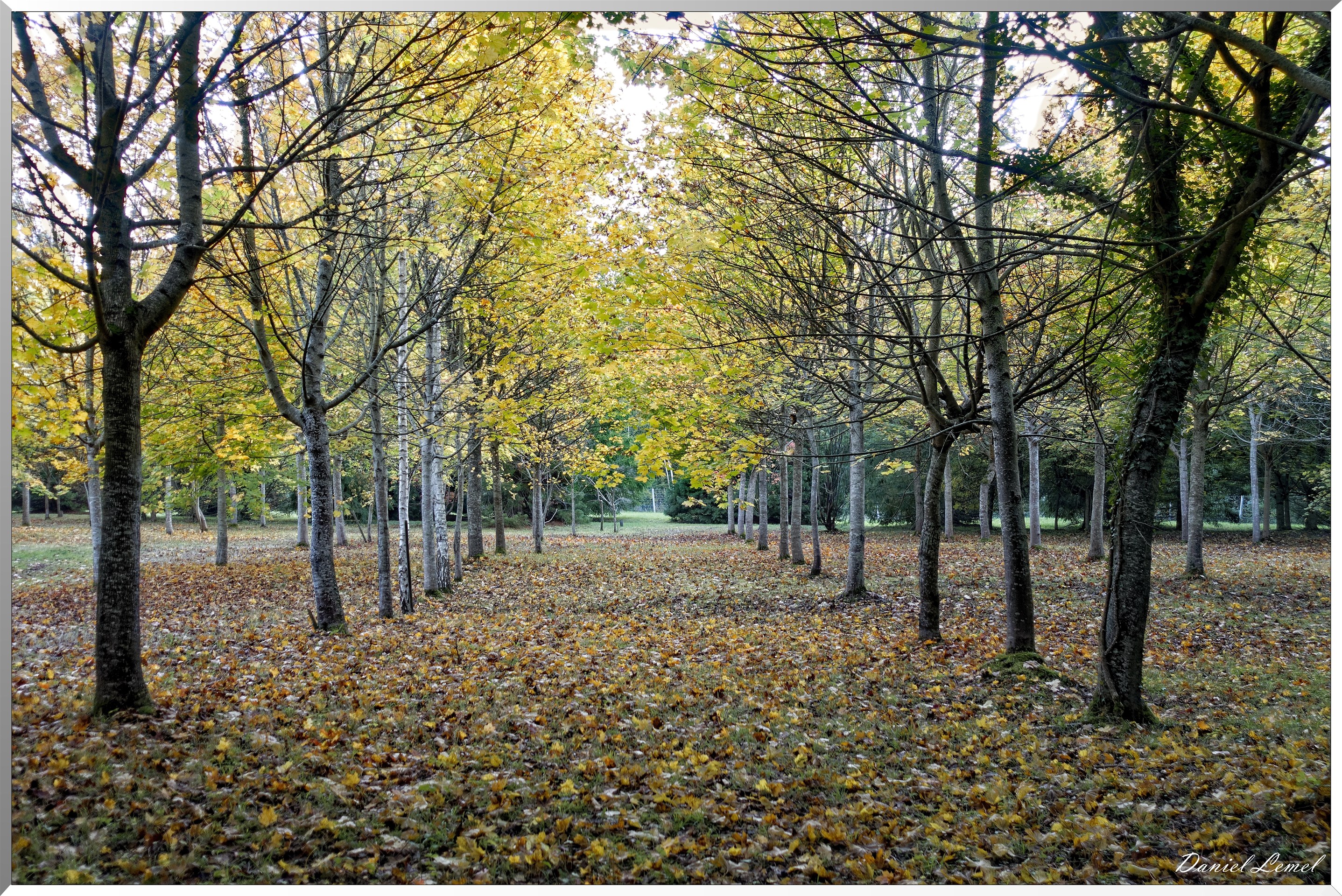 Arborétum