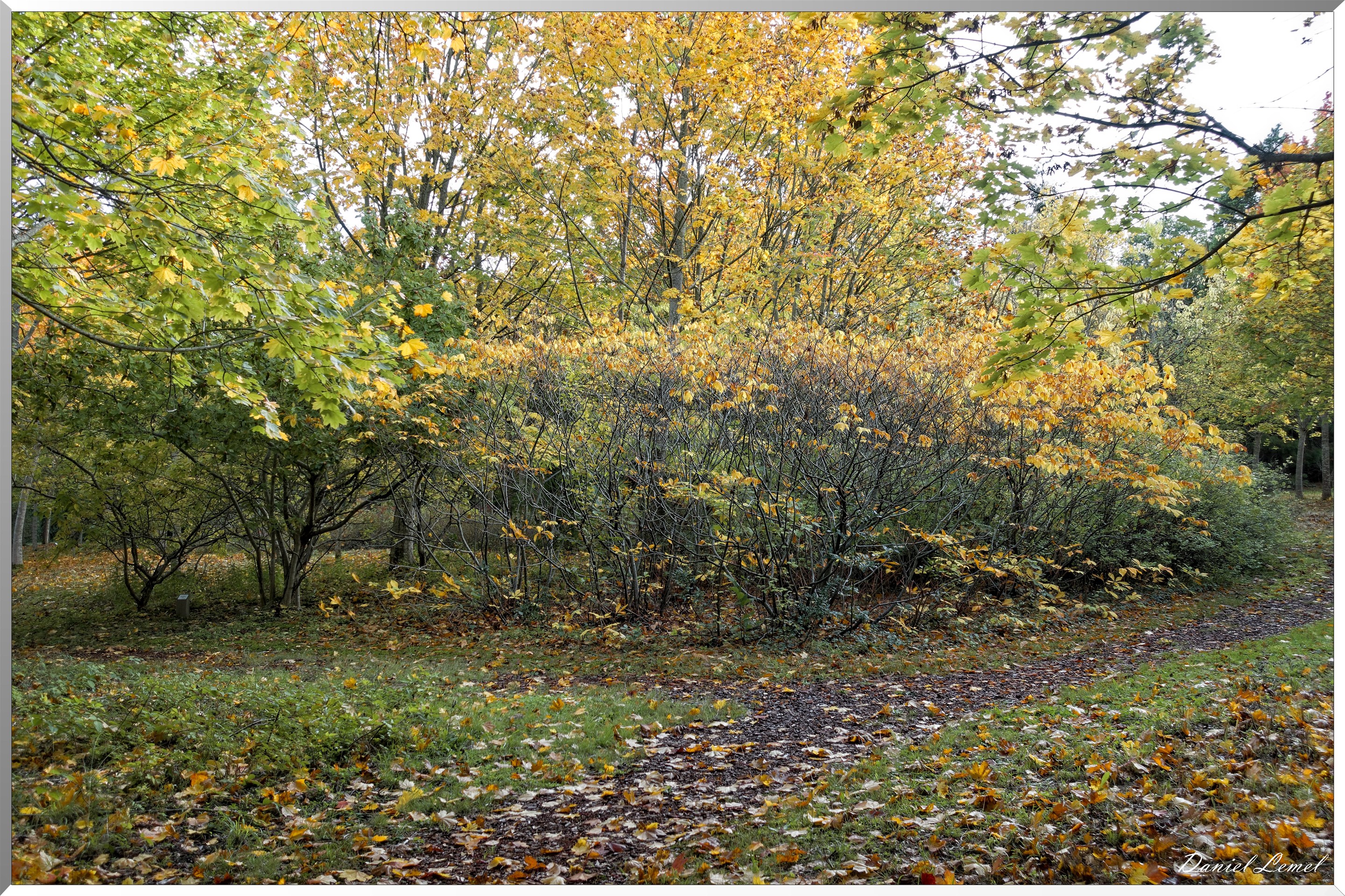 Arborétum