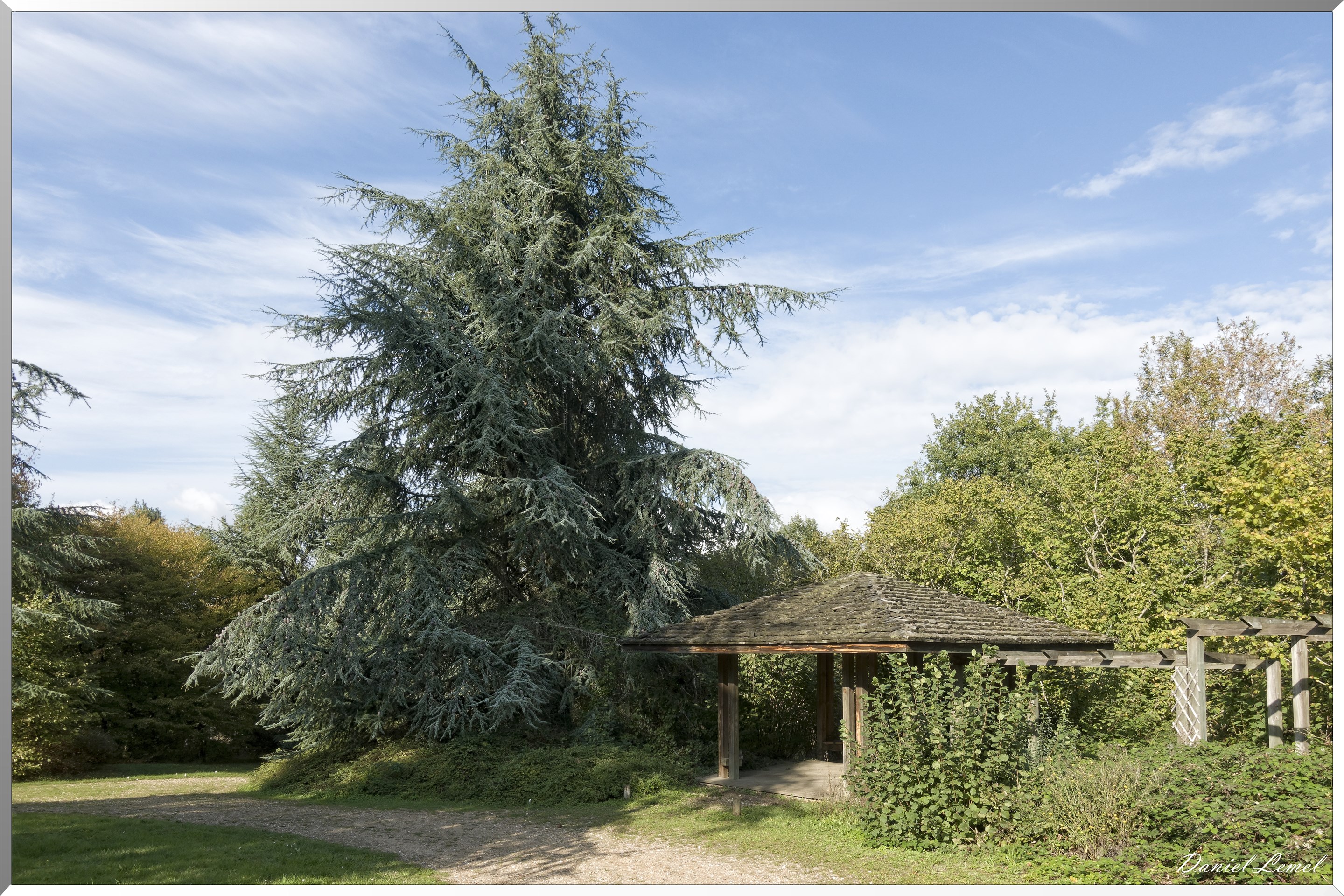Arborétum