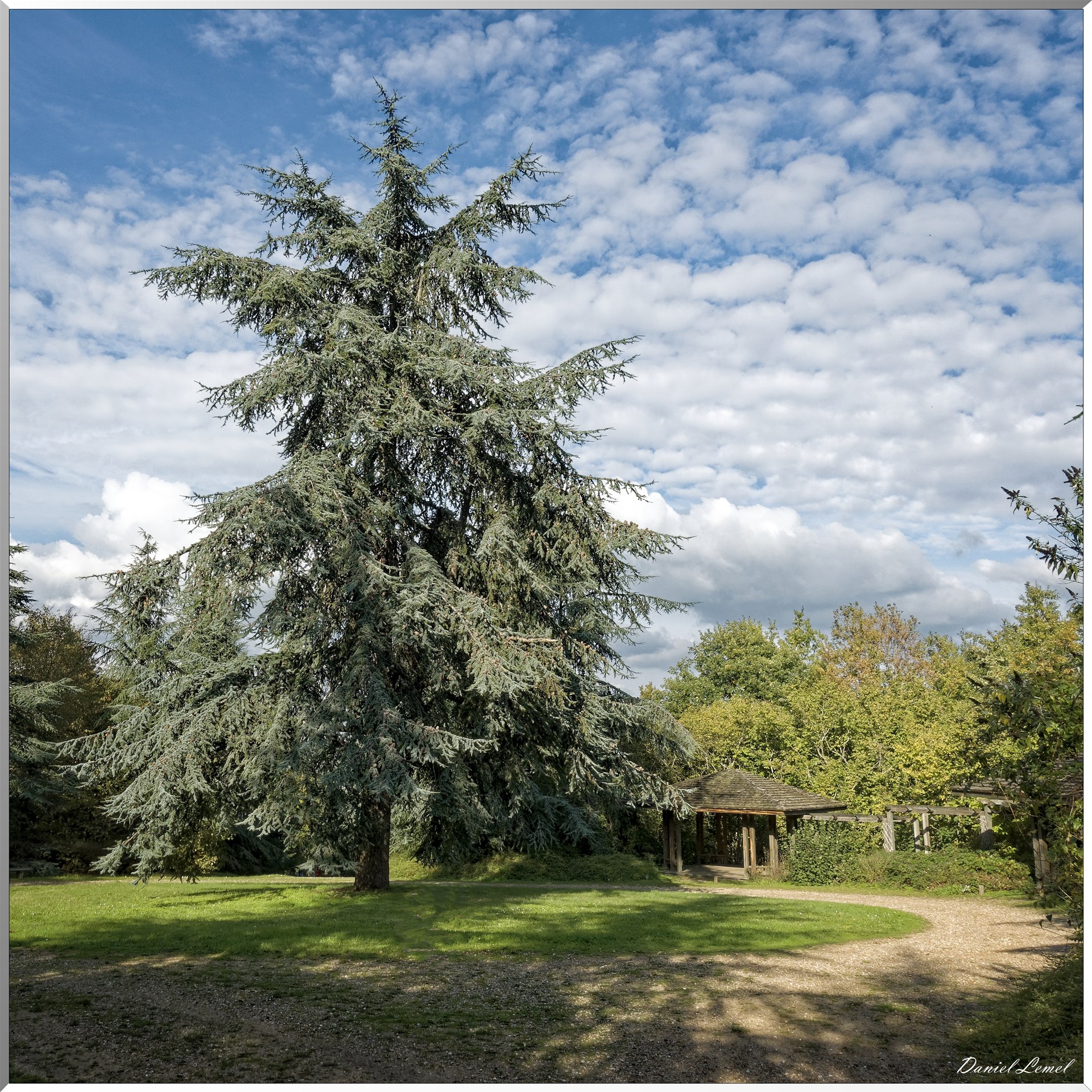 Arborétum