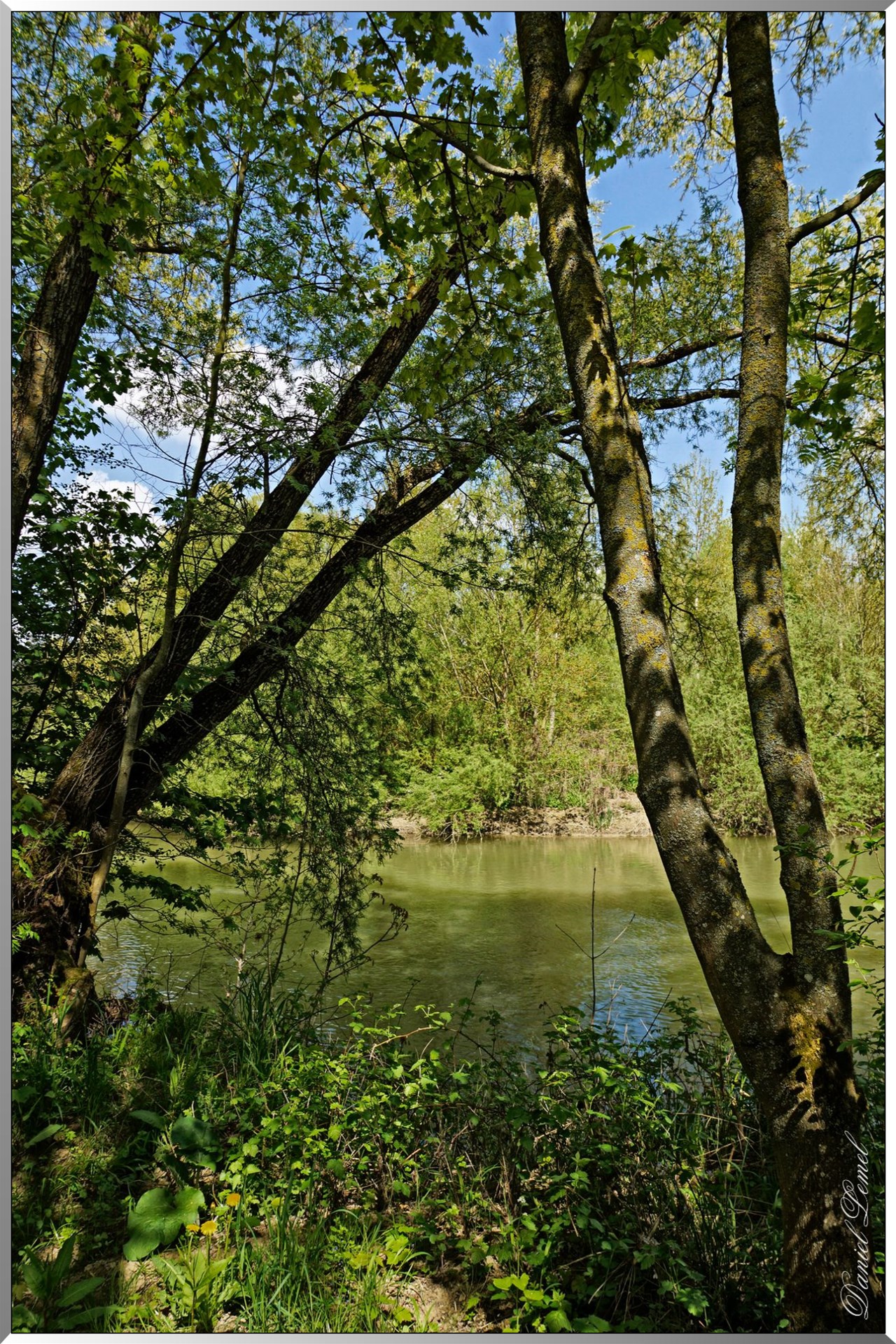L'Aisne-1