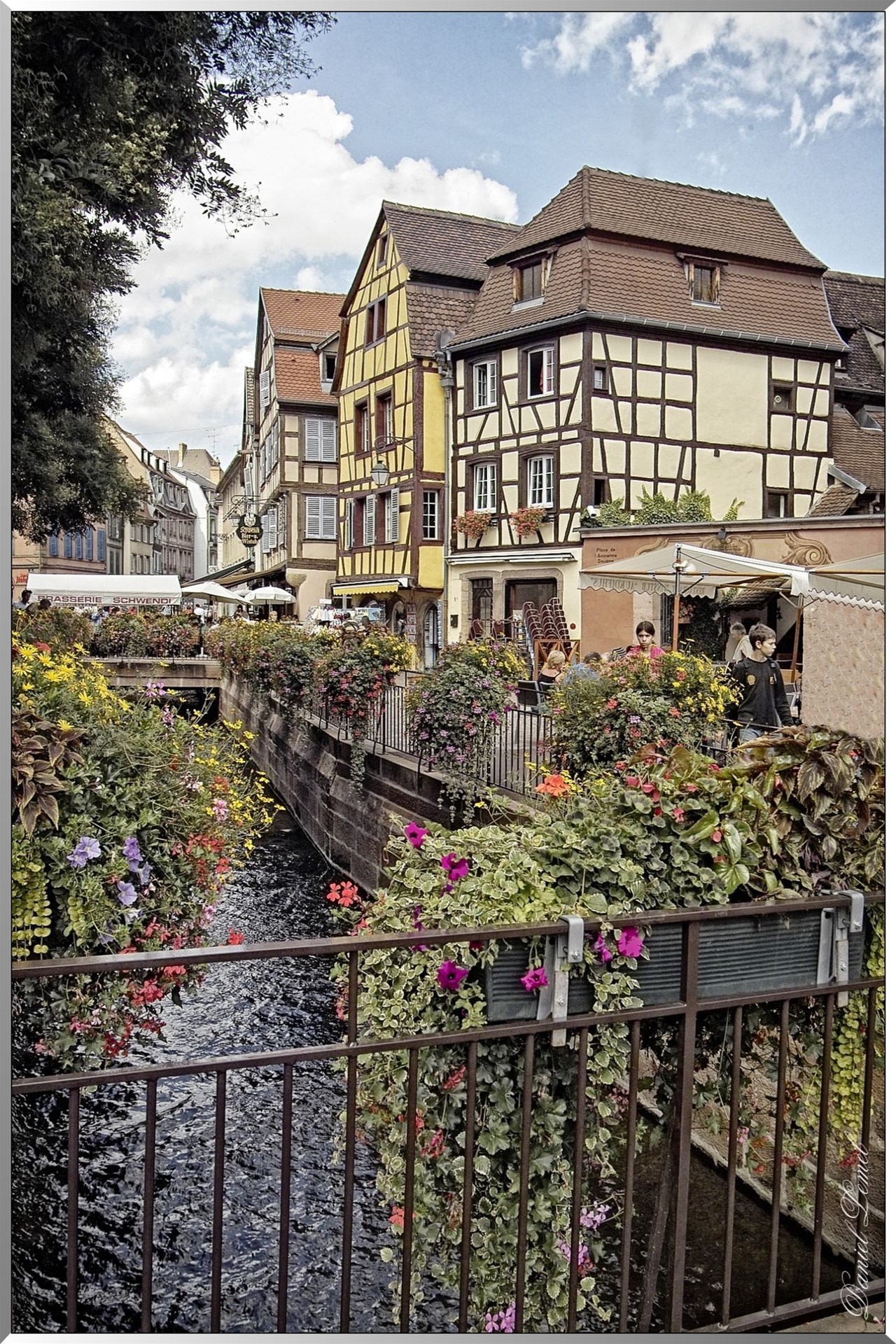 Petite Venise - Colmar