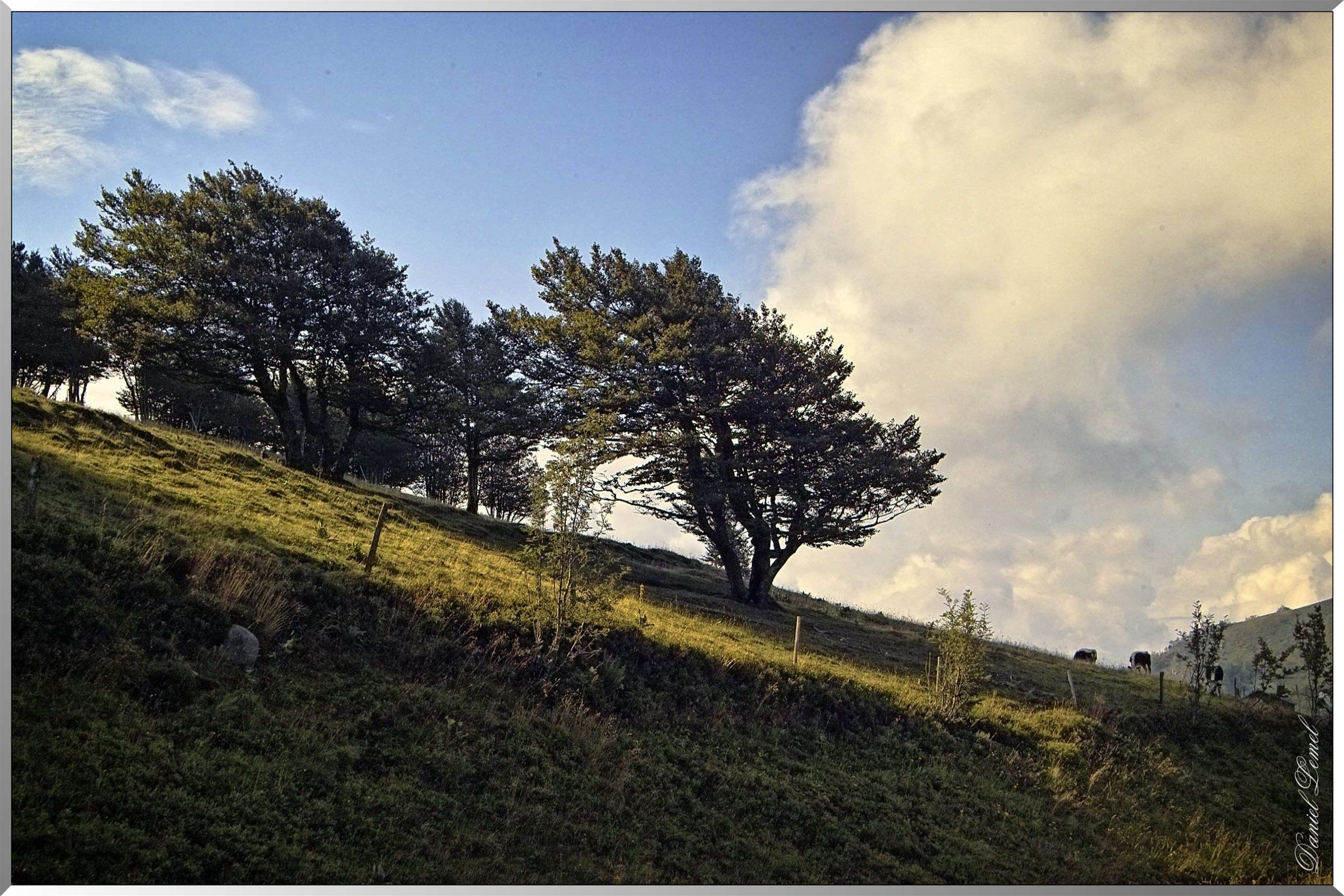 Campagne