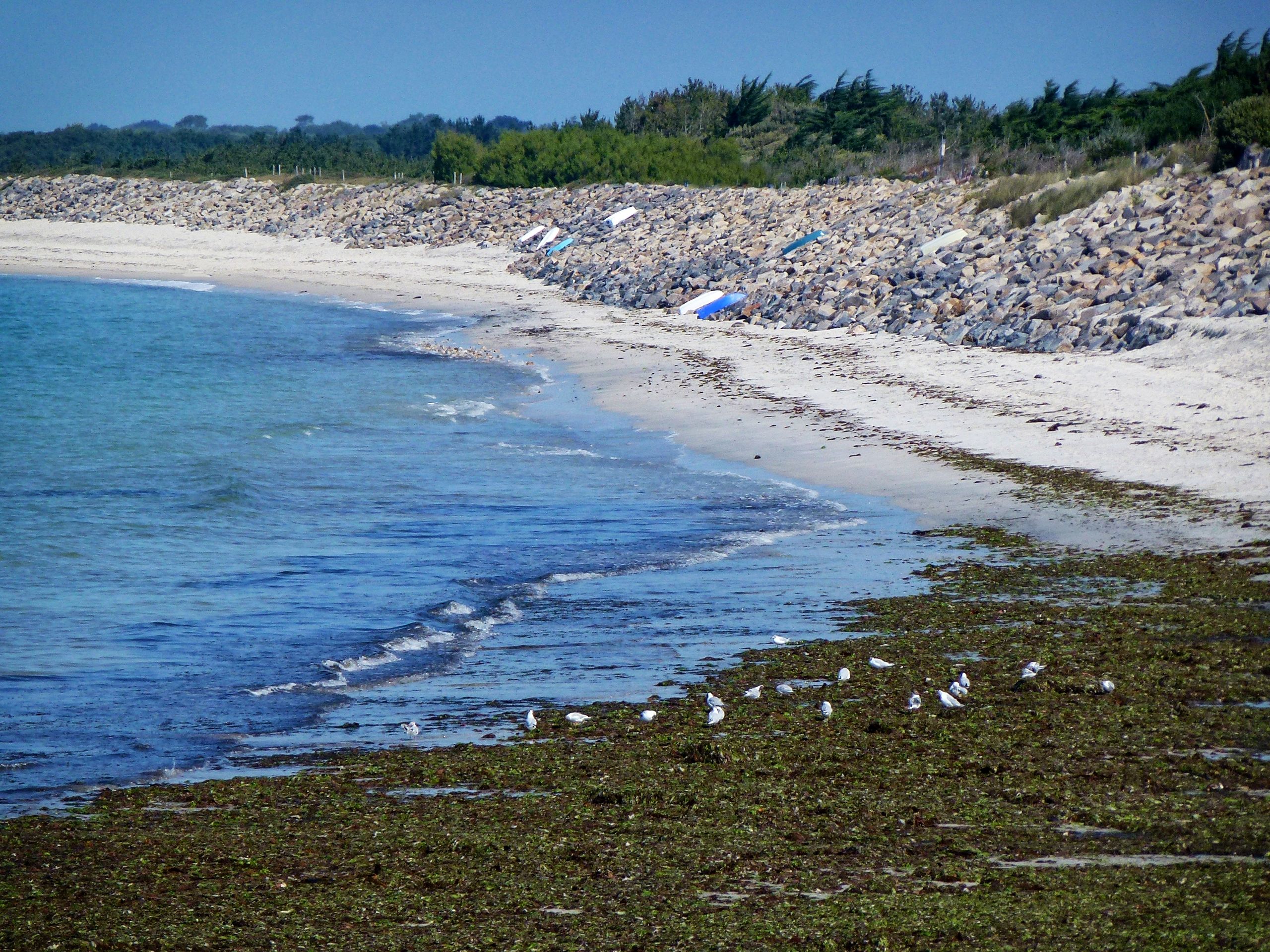 Plage