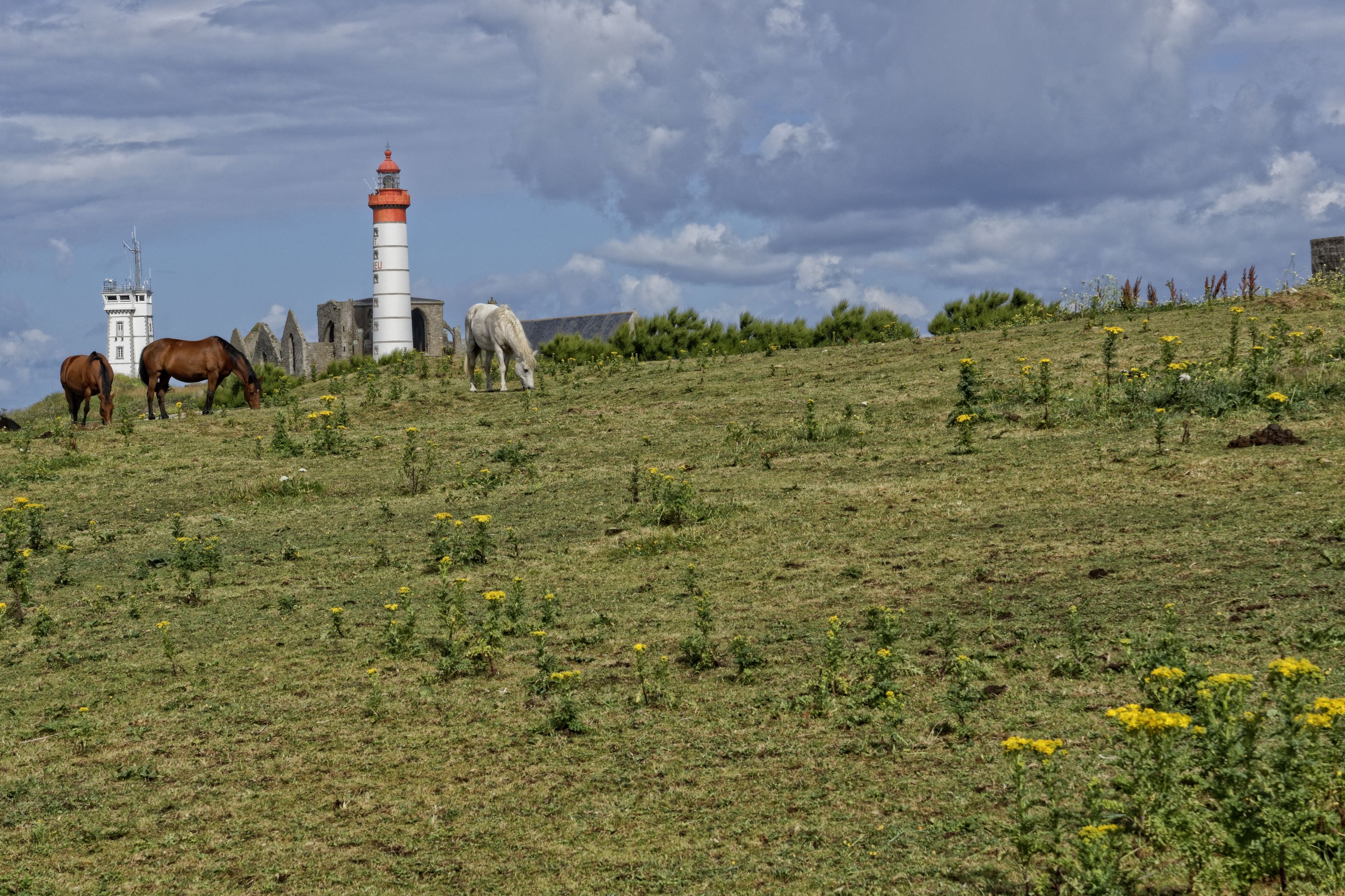 Phare