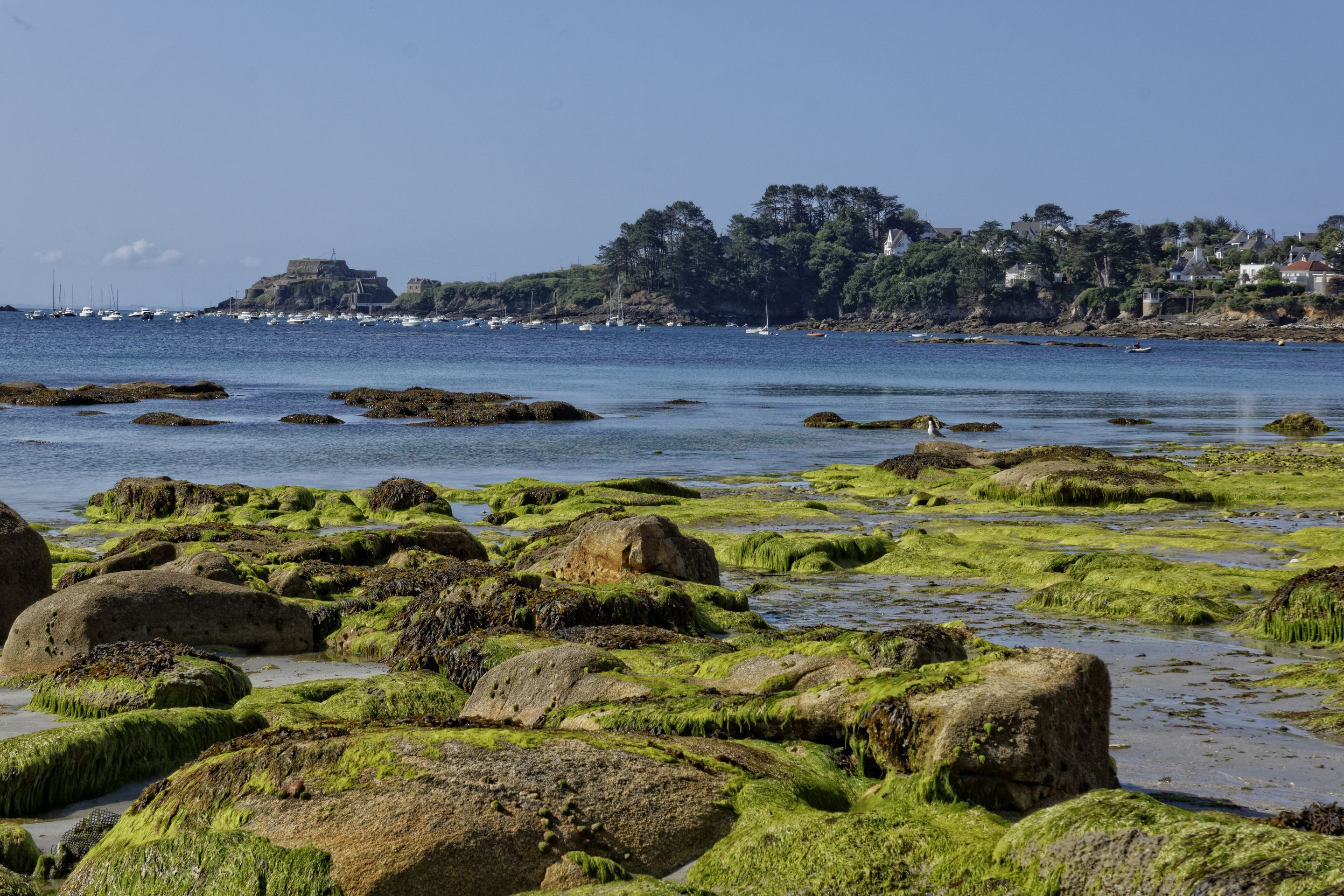 Plage