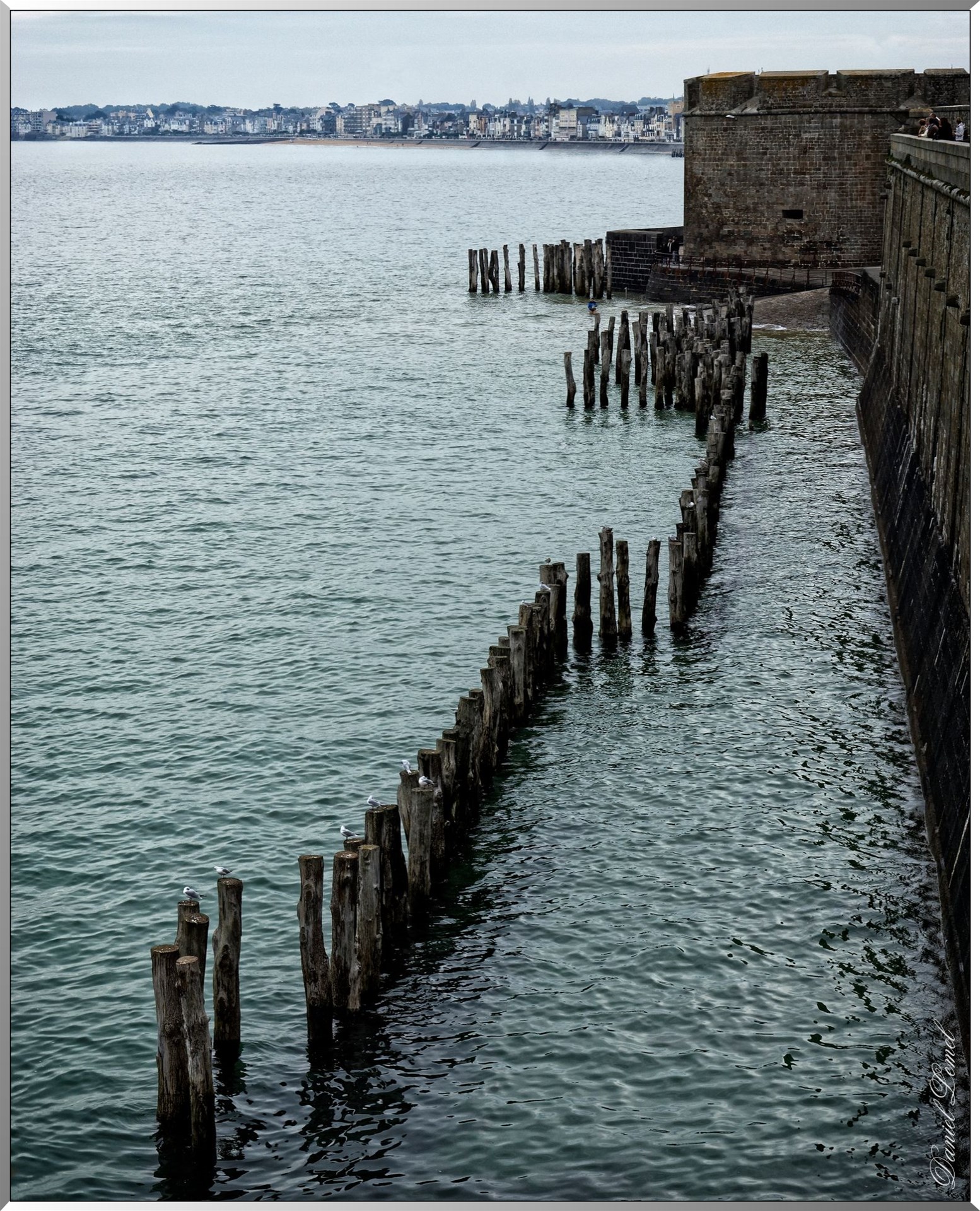Brises vagues
