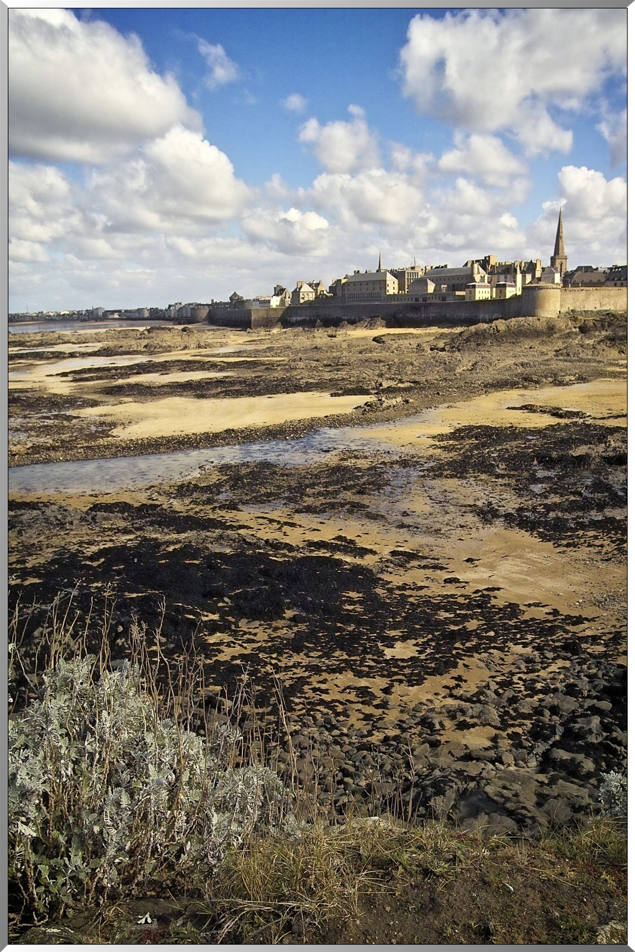 Marée basse