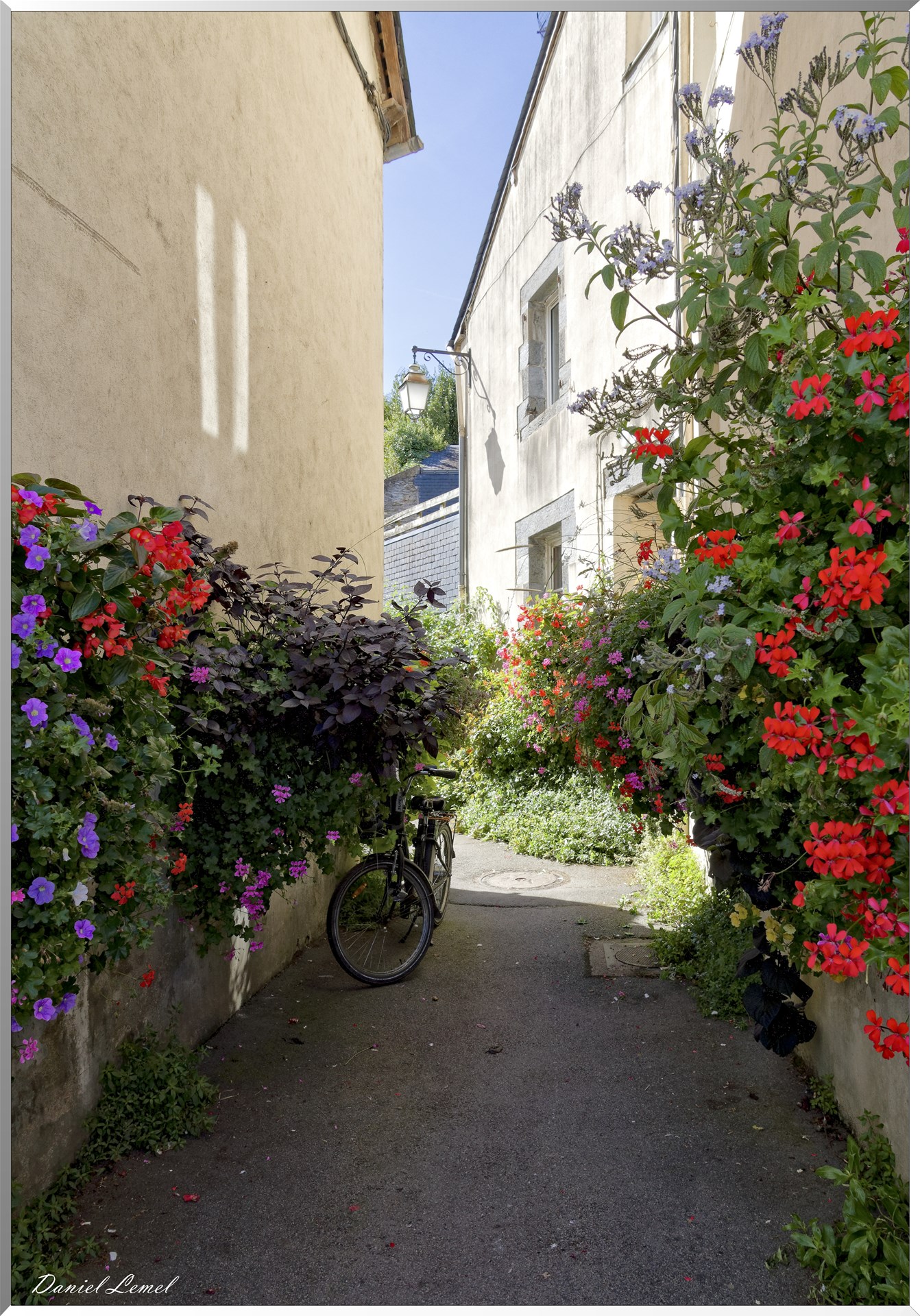 La Gacilly