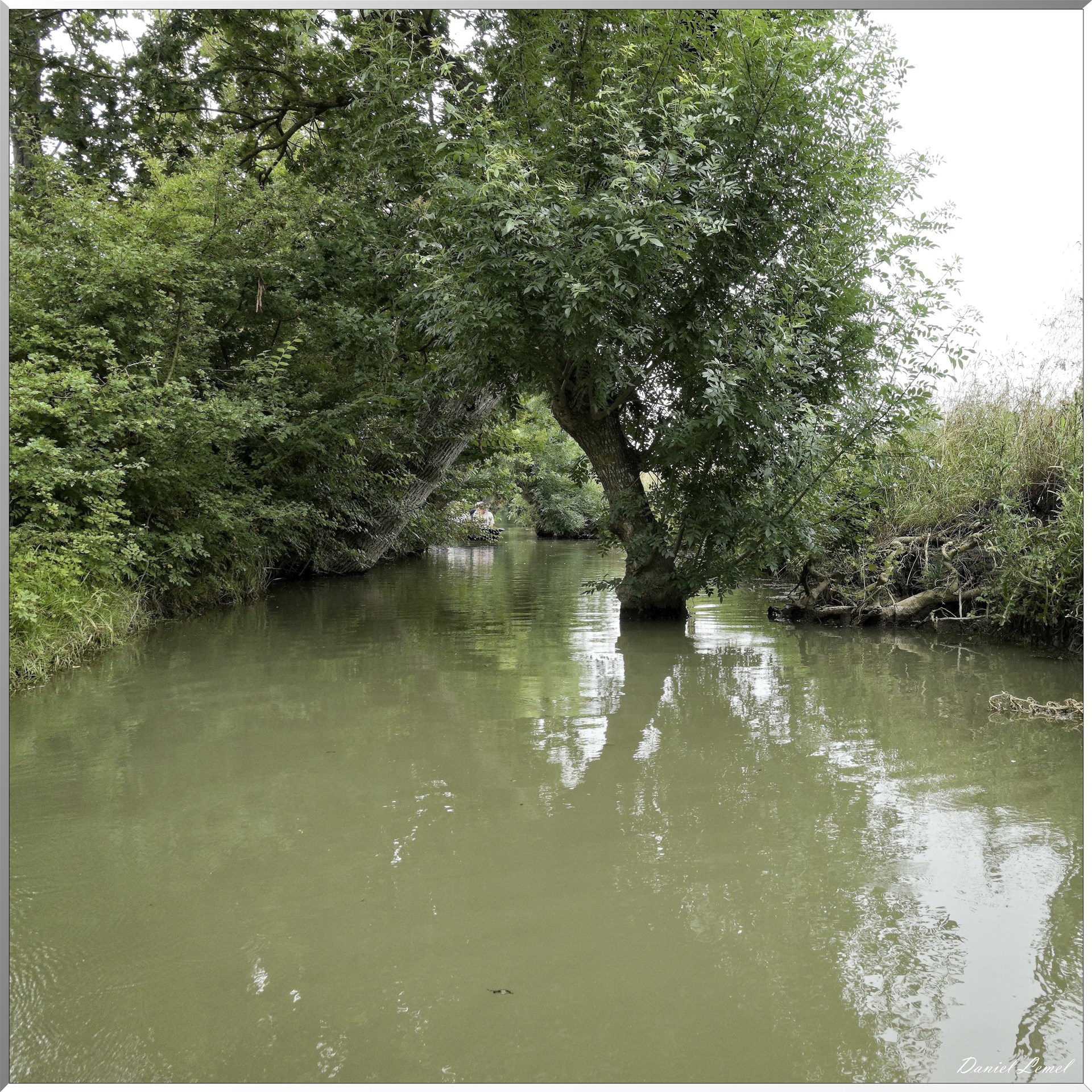Marais