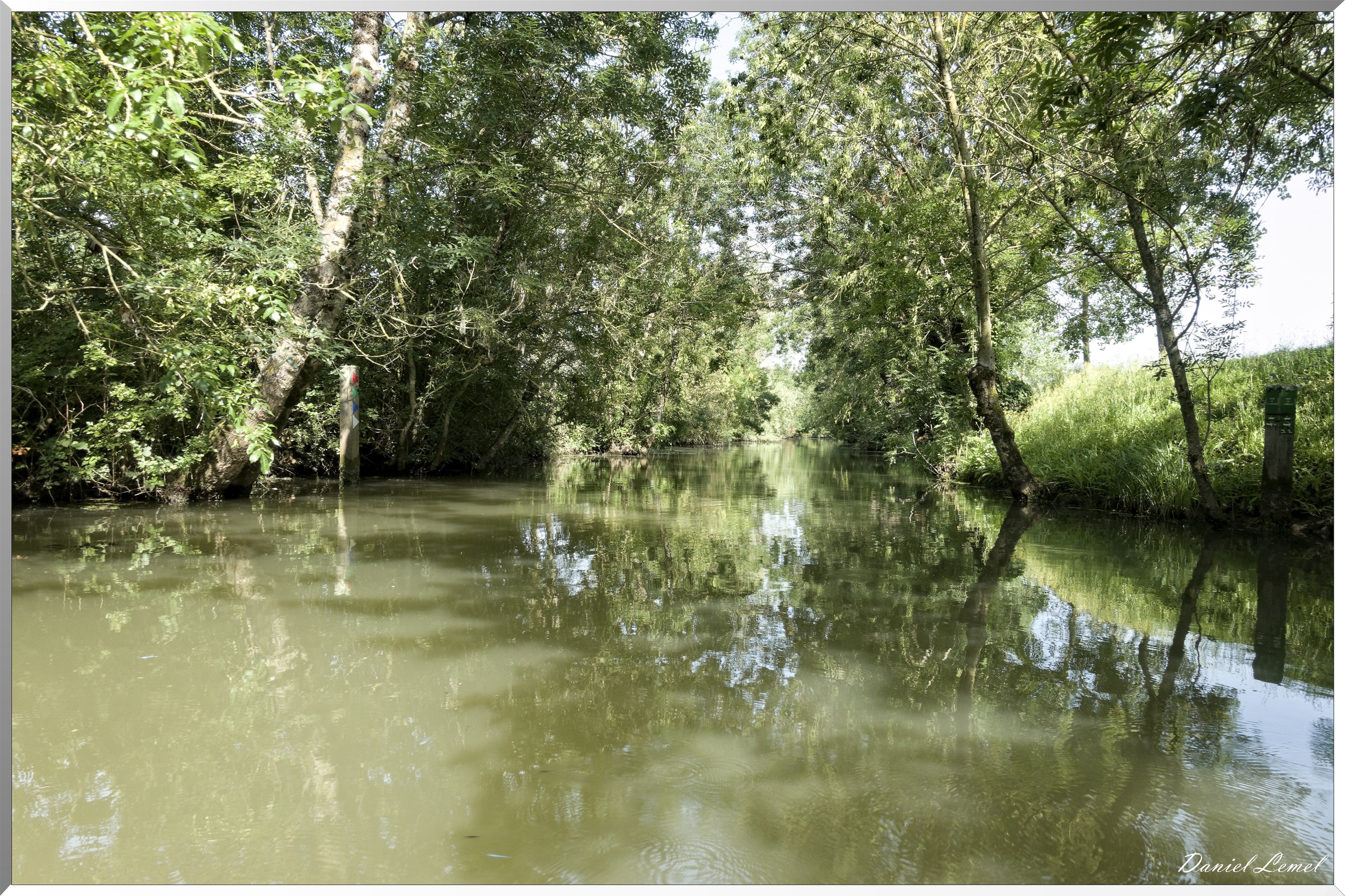 Marais