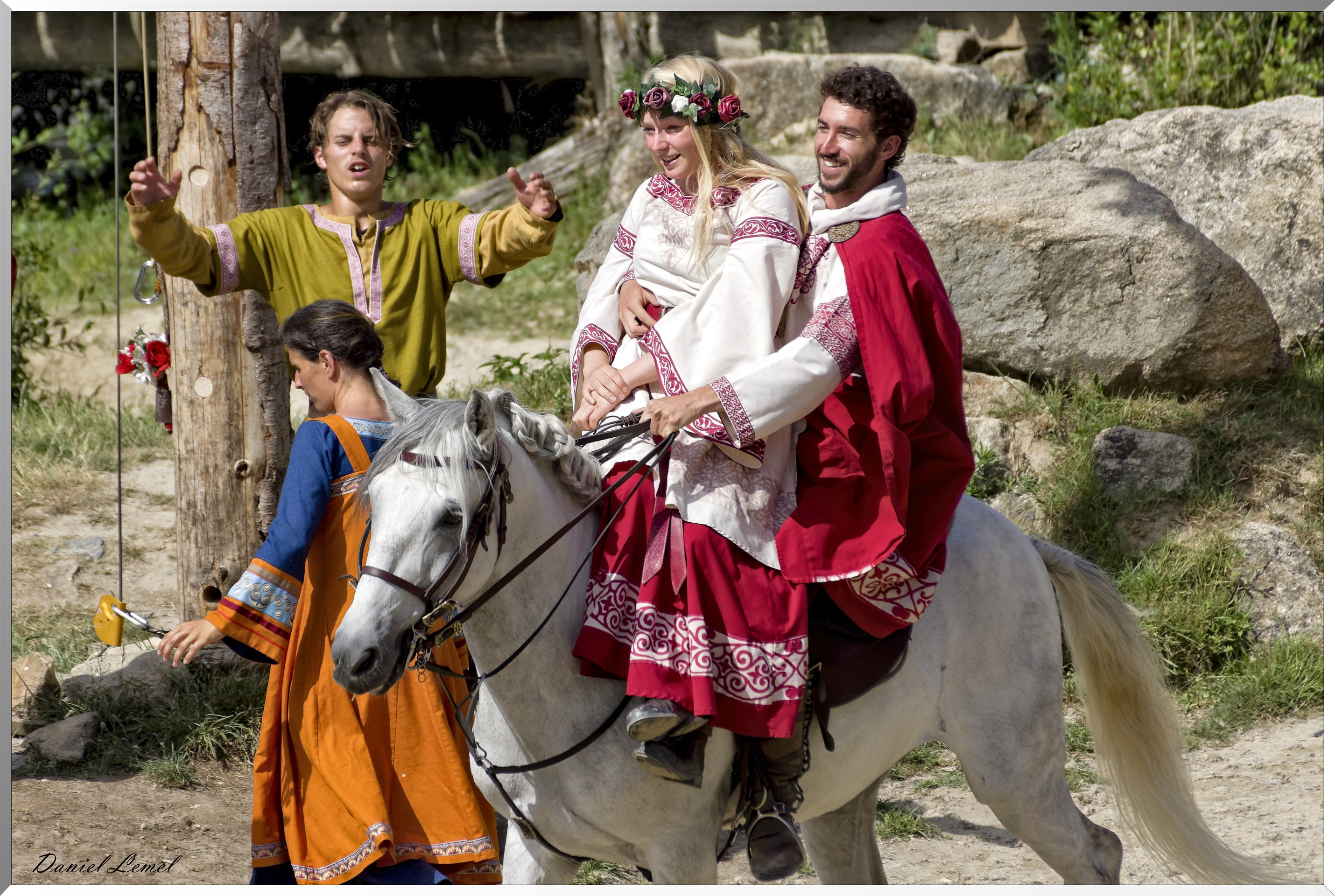 Les Vikings