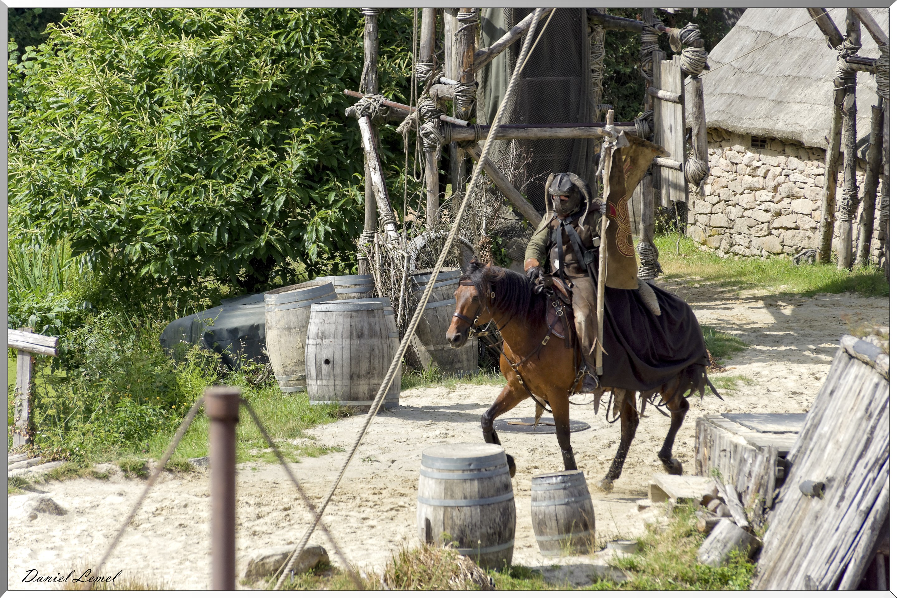 Les Vikings