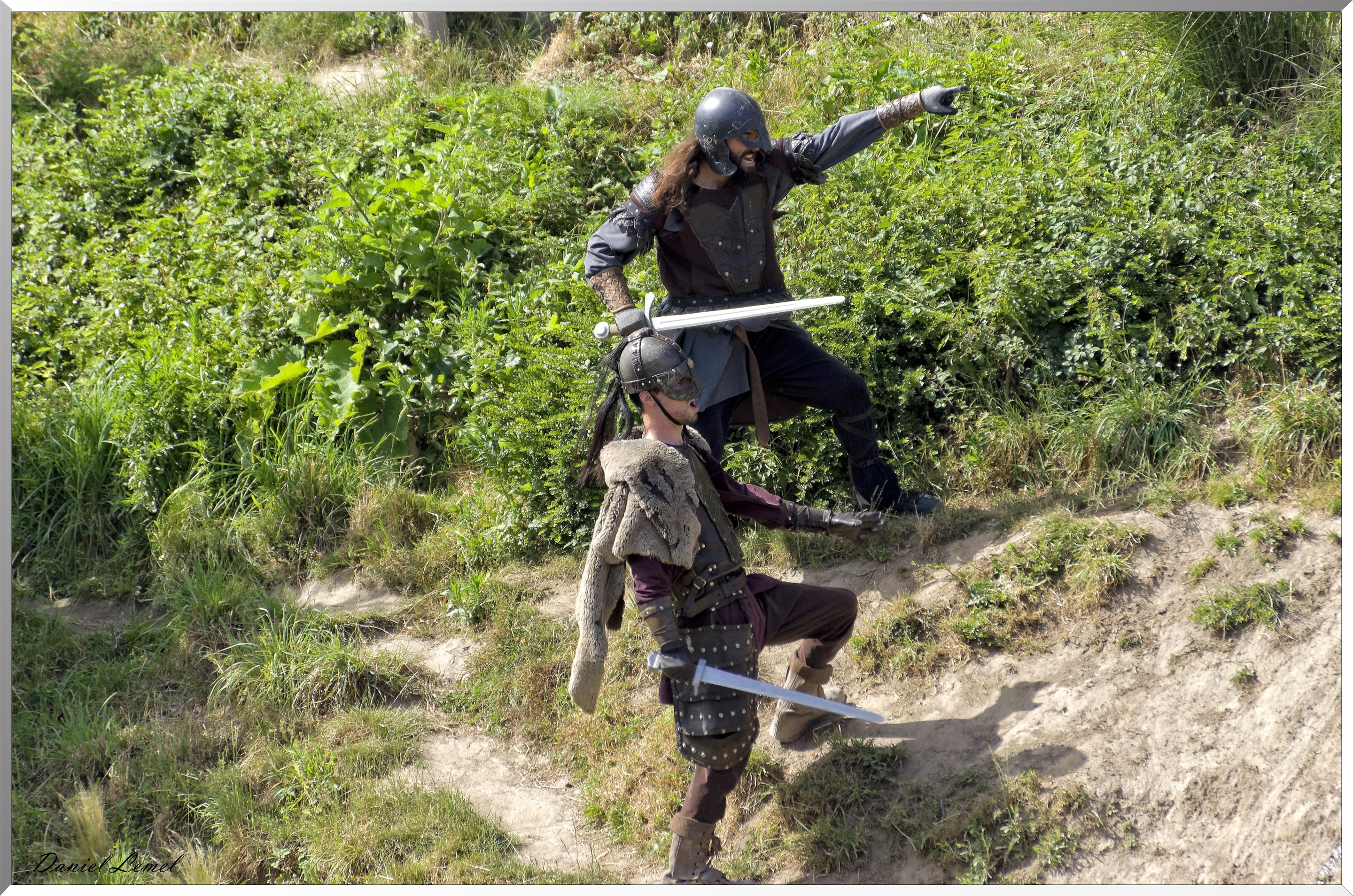 Les Vikings