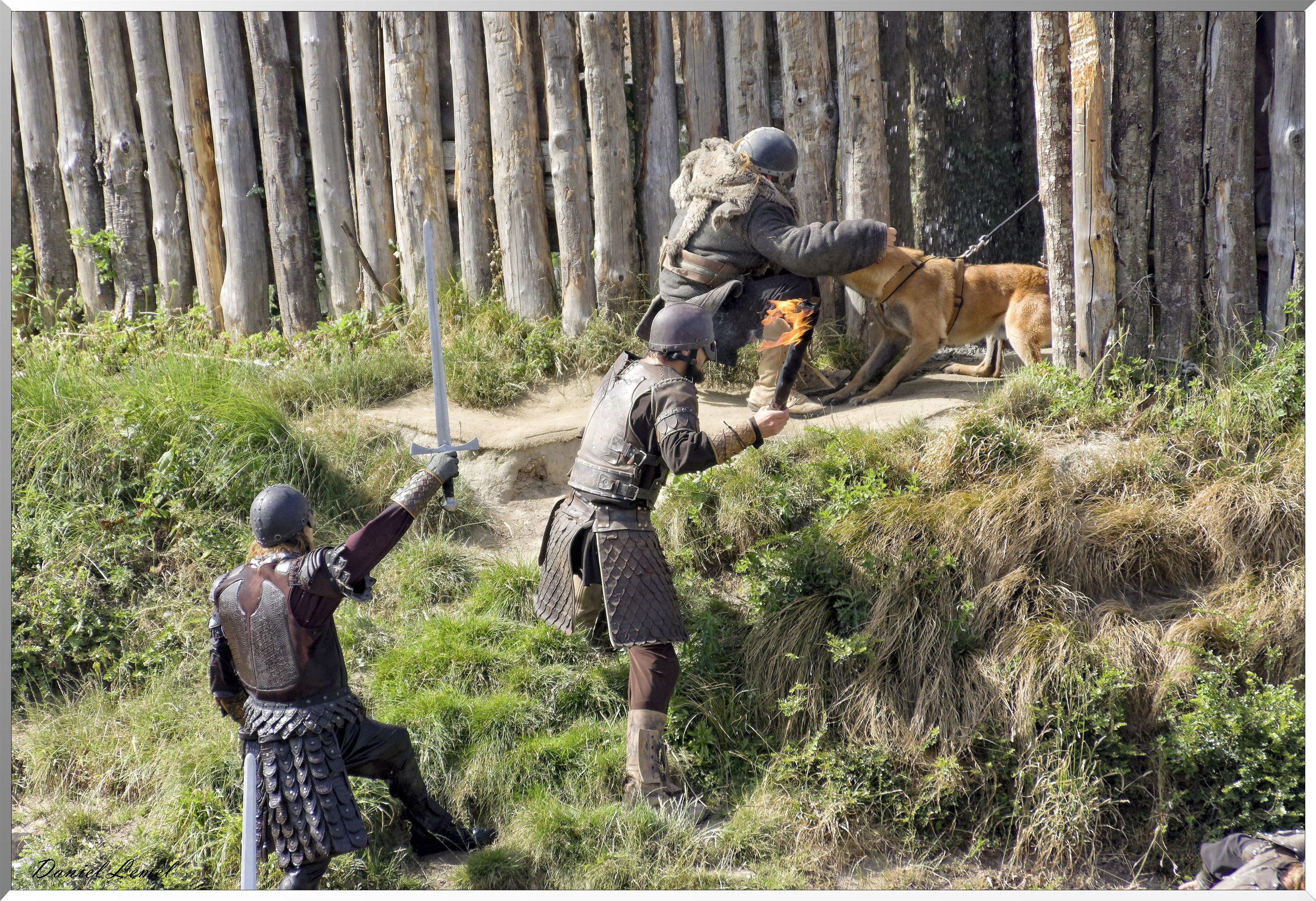 Les Vikings
