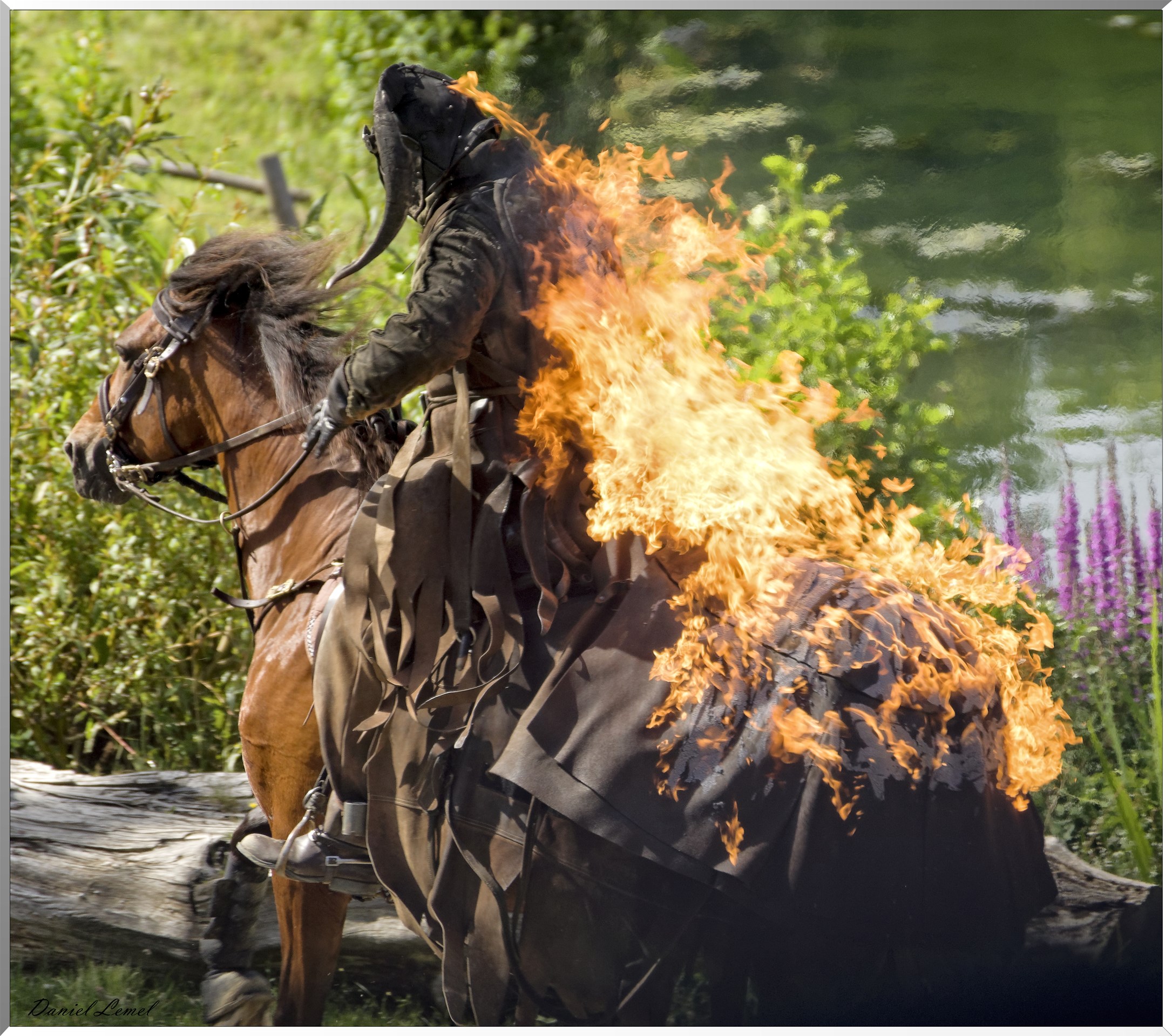 Les Vikings