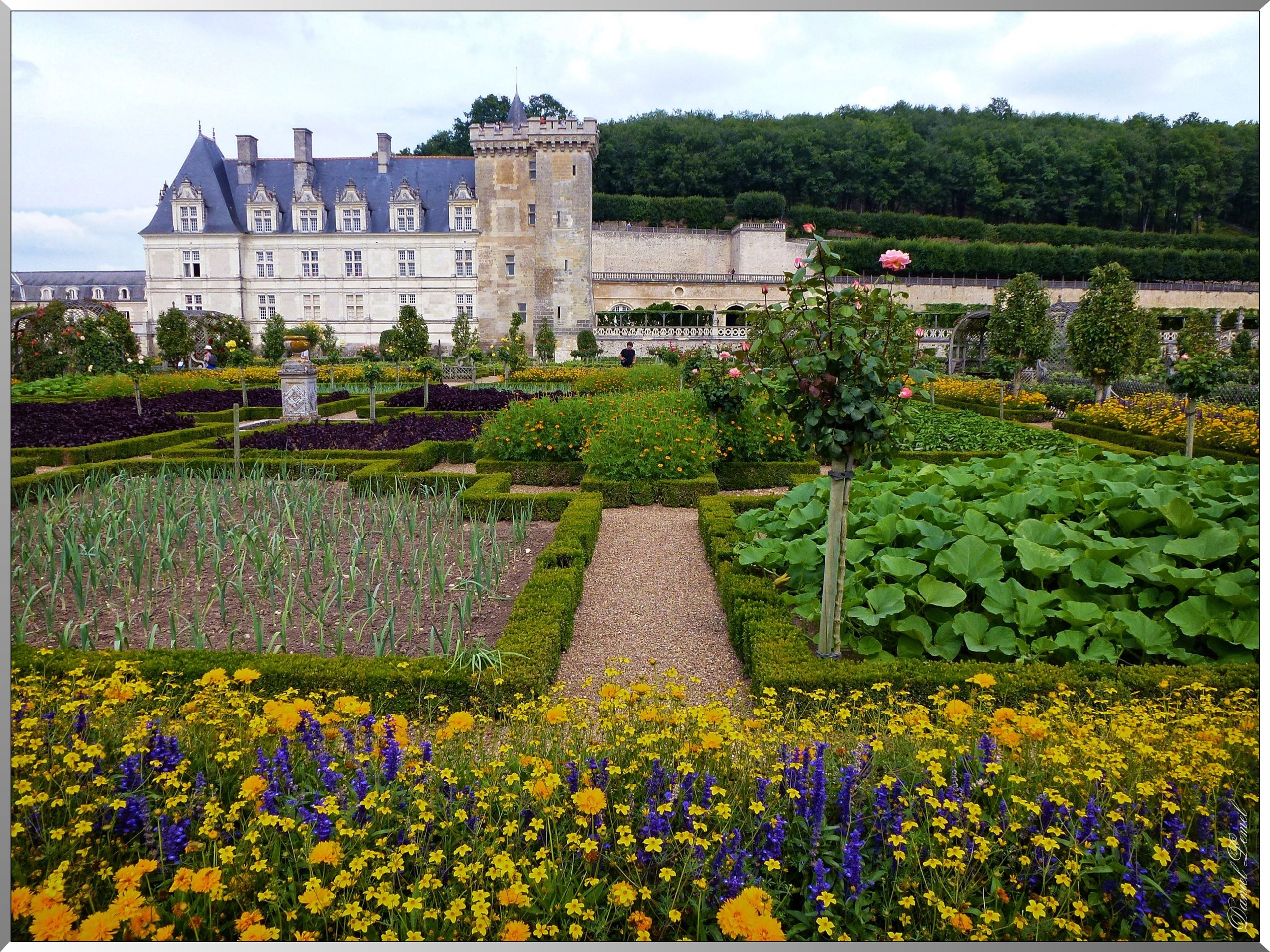 Chateau de villandry 5