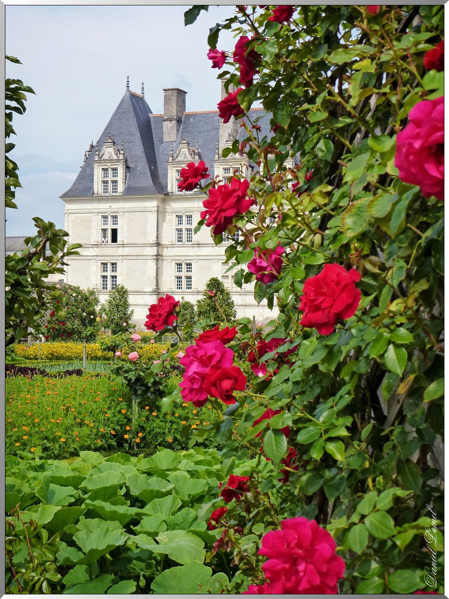 Chateau de villandry 6