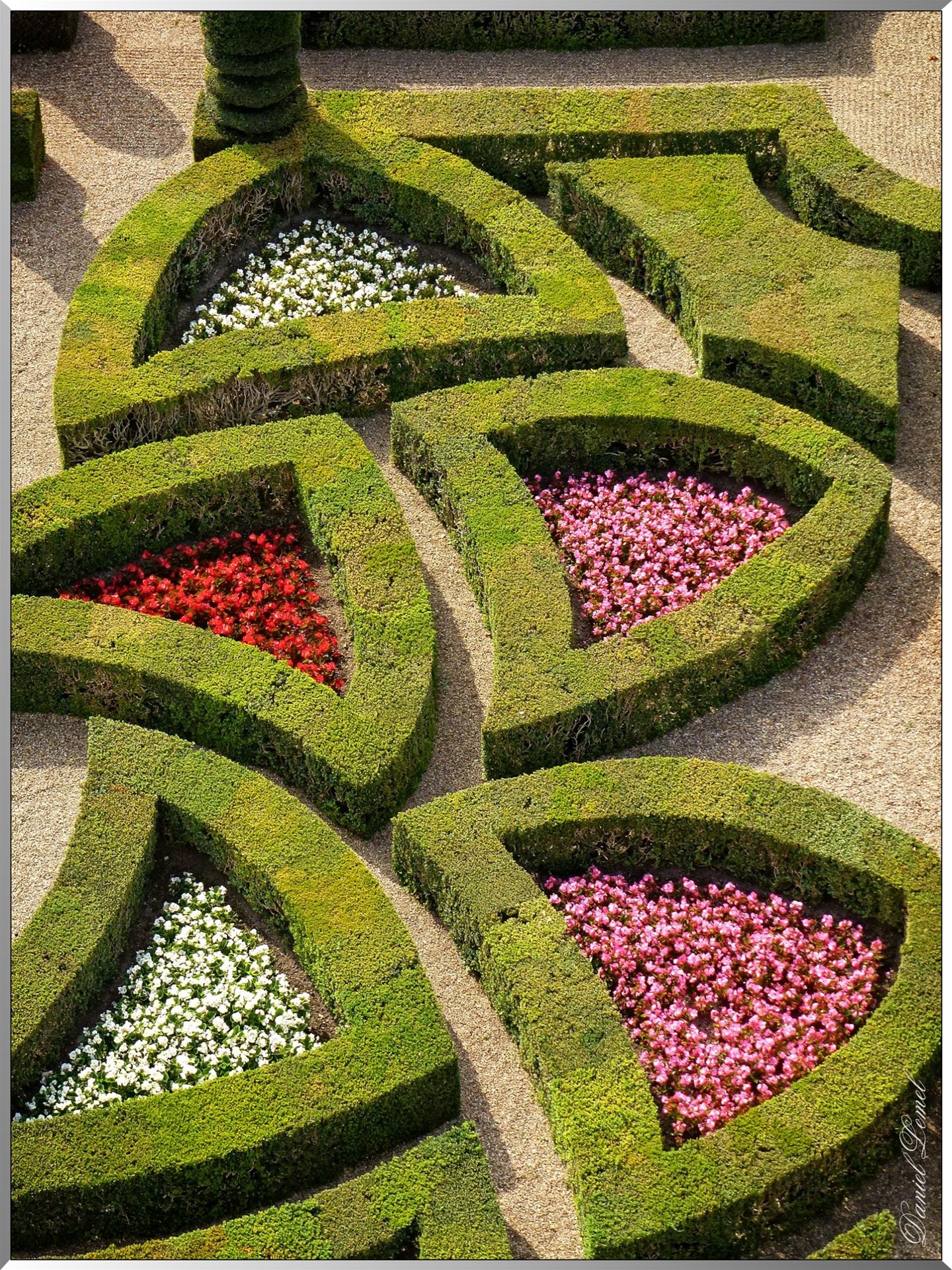 Detail du jardin d ornement