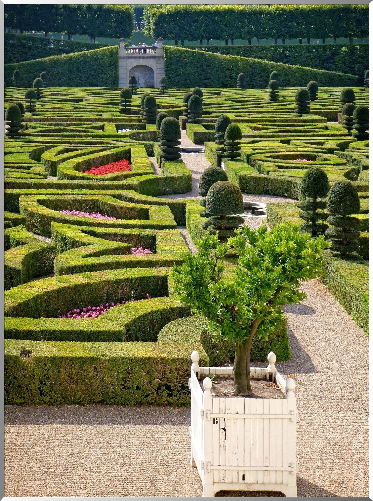 Jardin d ornement 1
