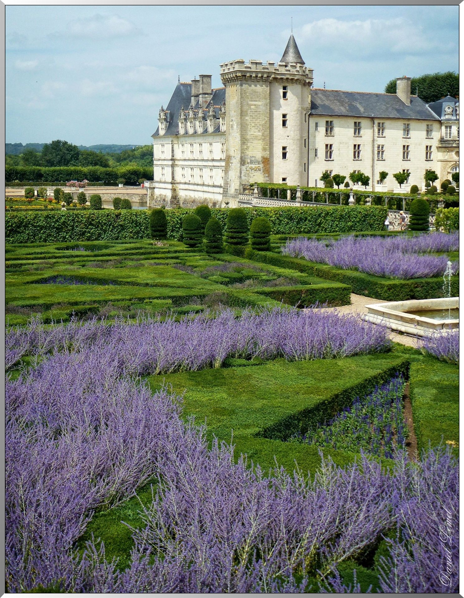 Jardin d ornement 5