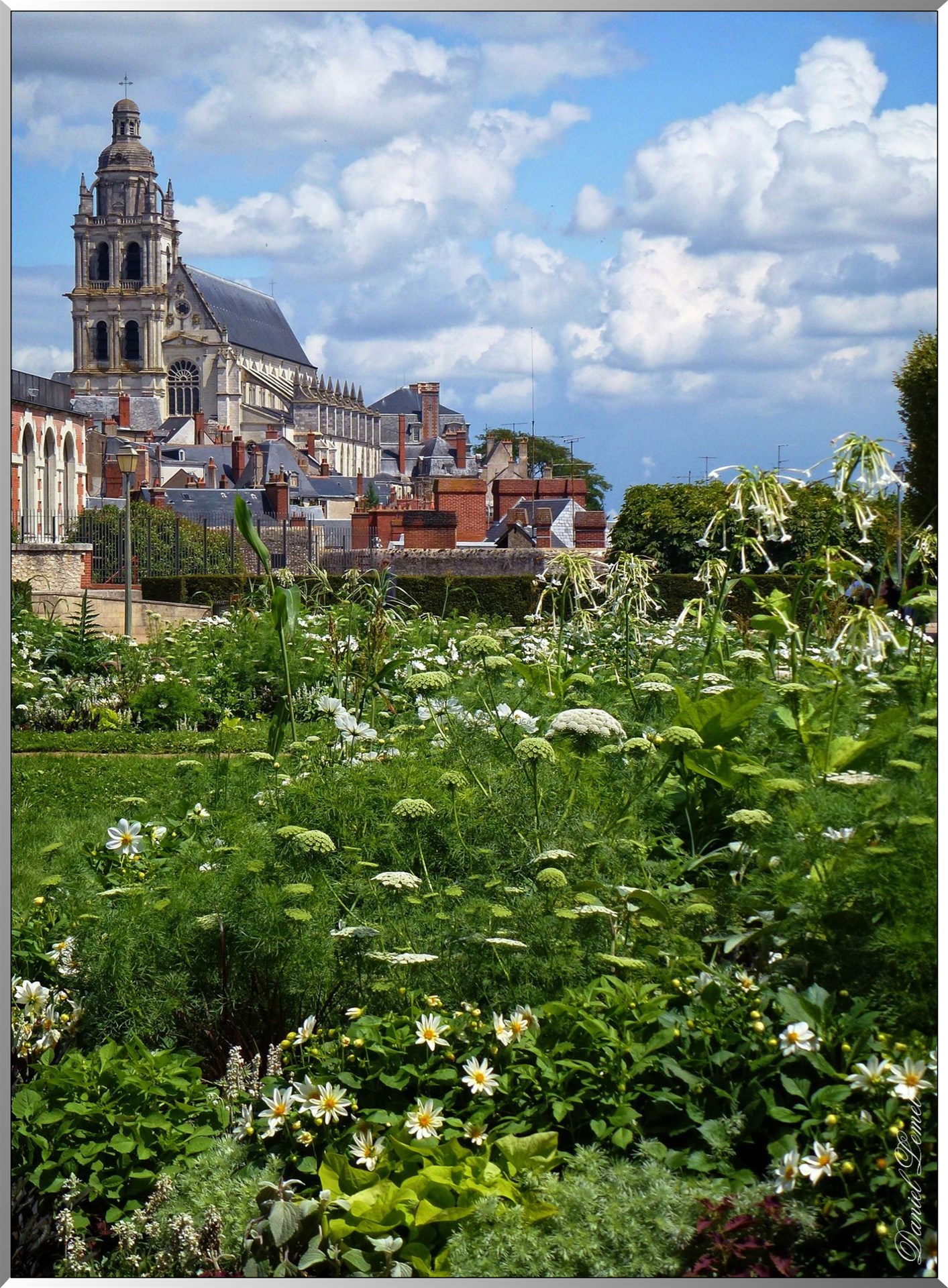 Cathedrale st louis