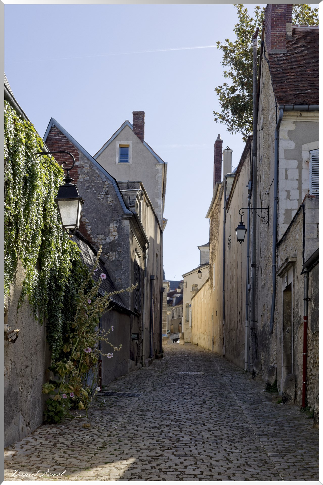 Rue