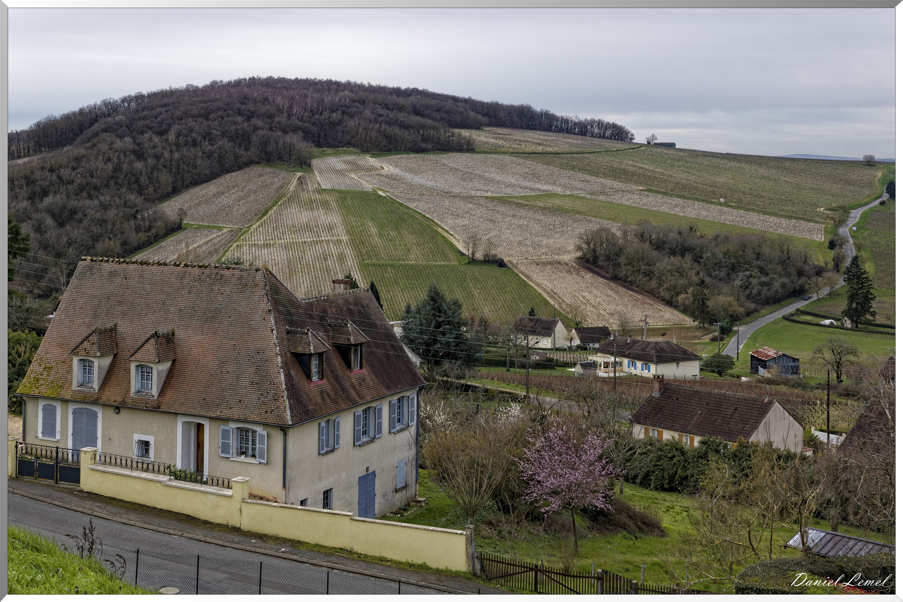 Vignobles