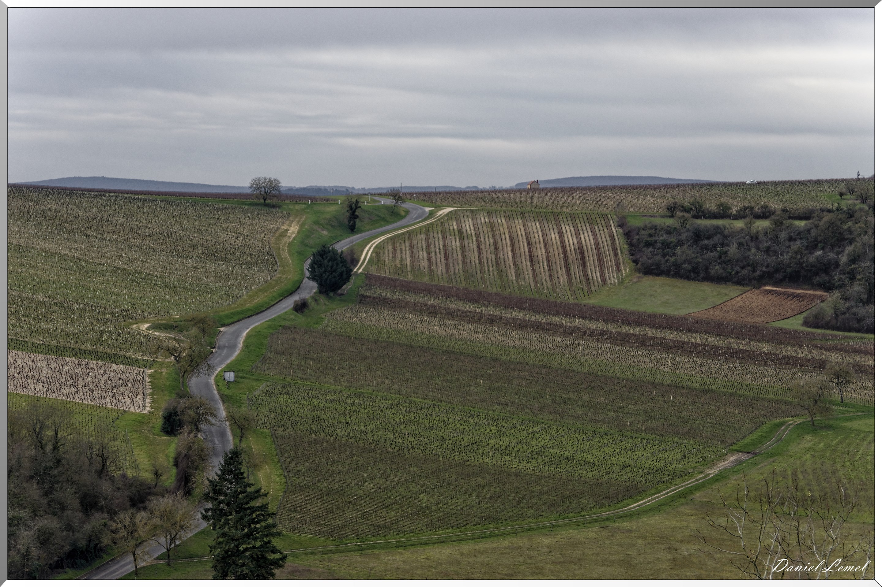 Vignobles