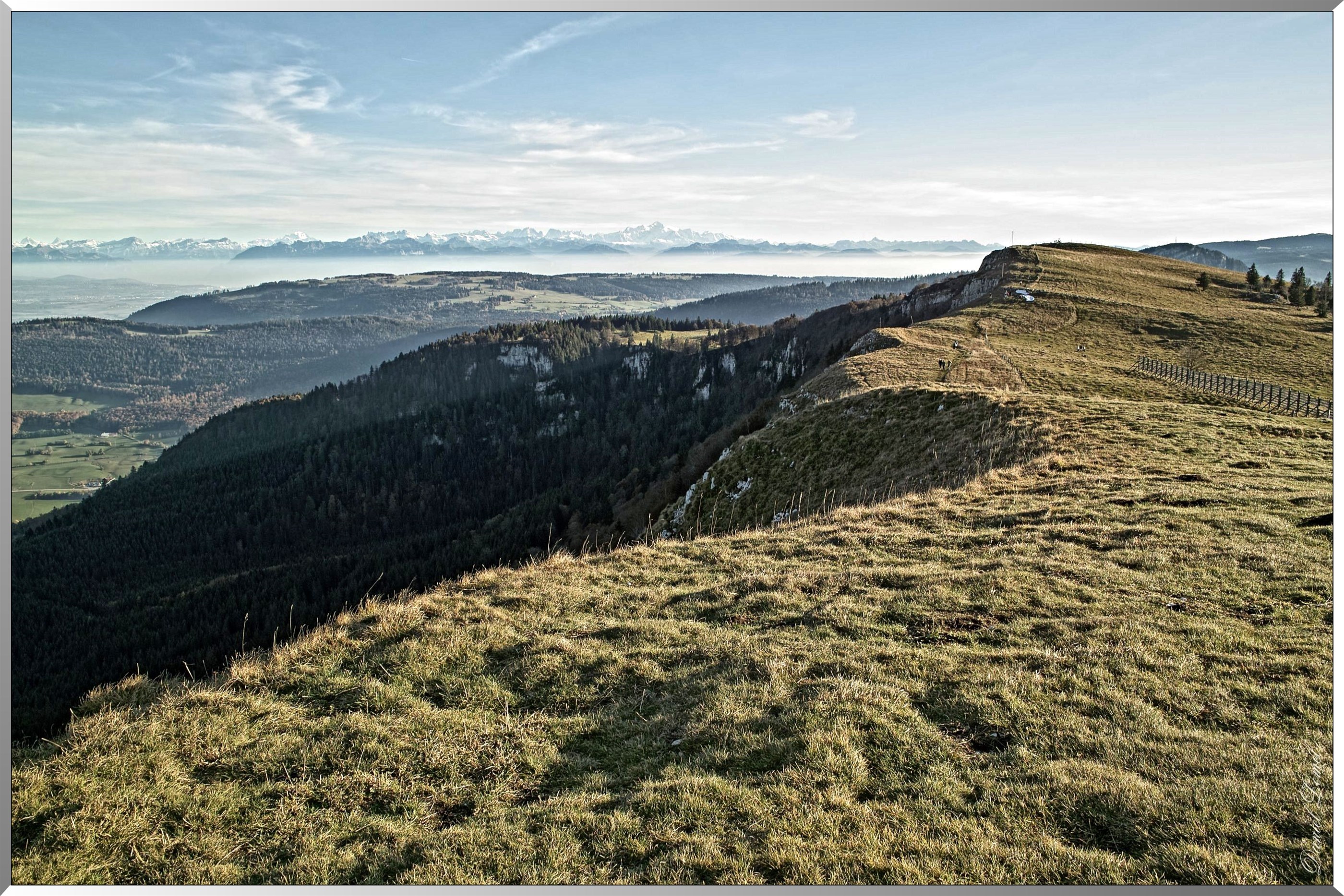 Mont d' Or