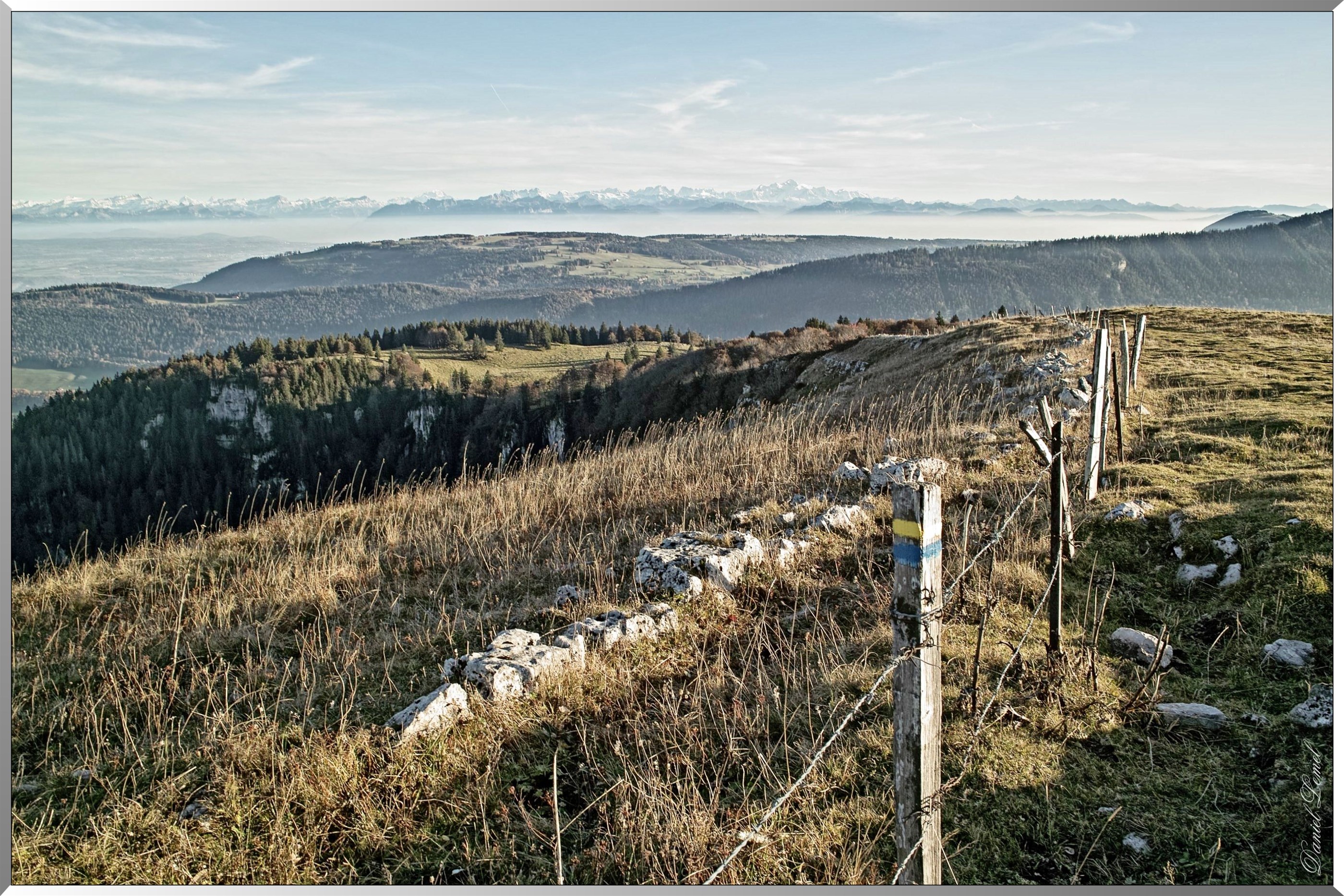 Mont d' Or