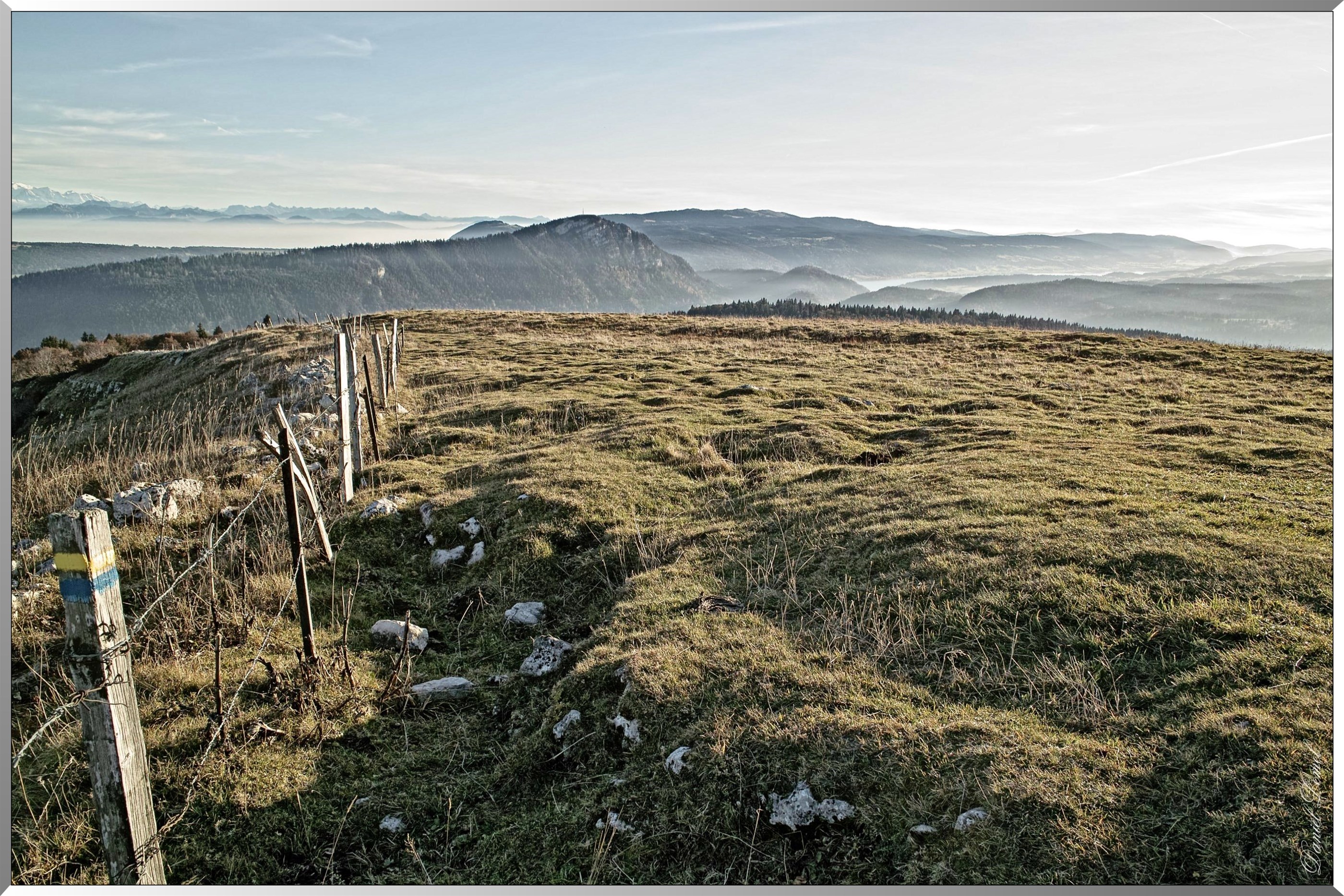 Mont d' Or