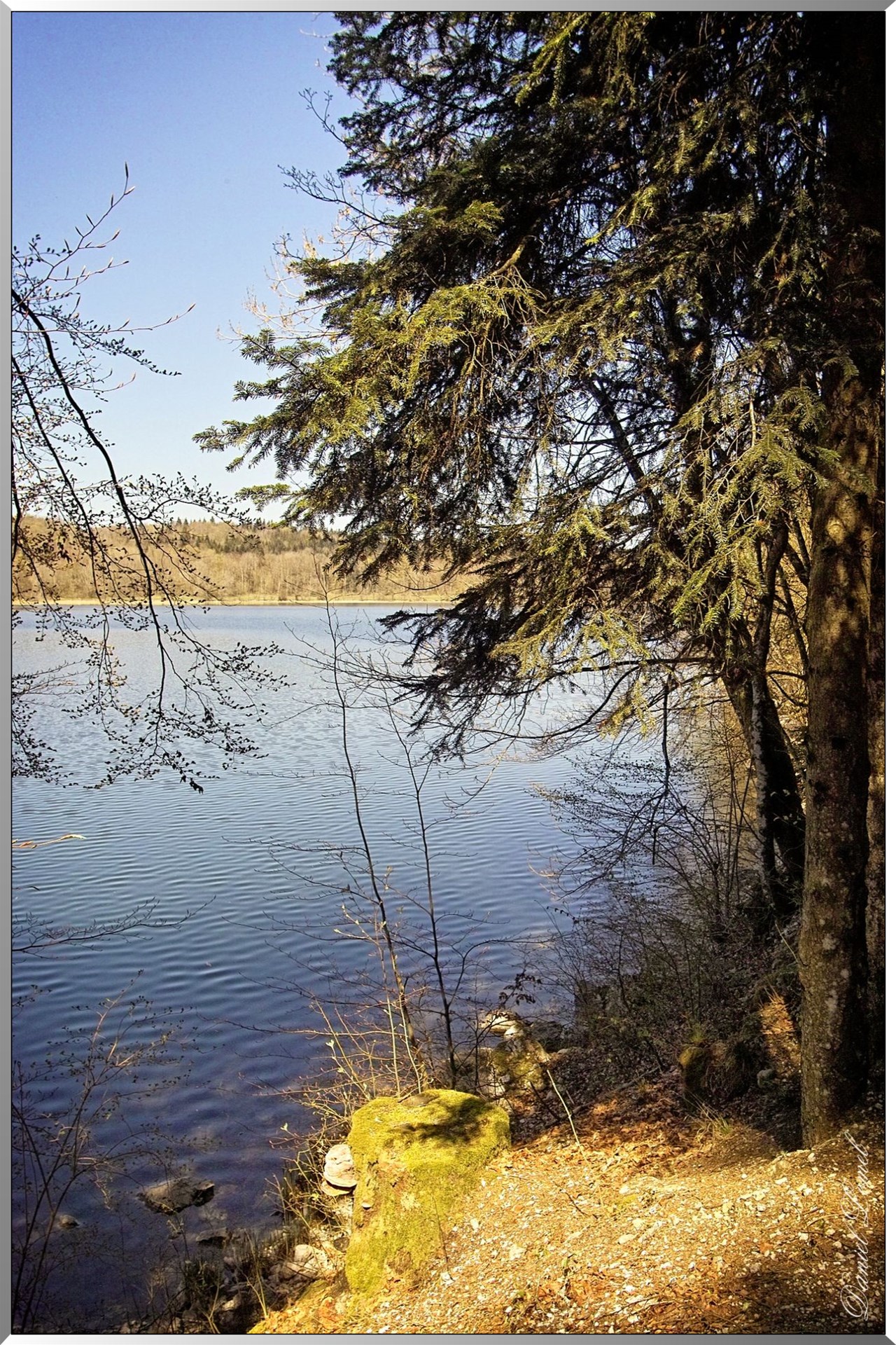 Lac